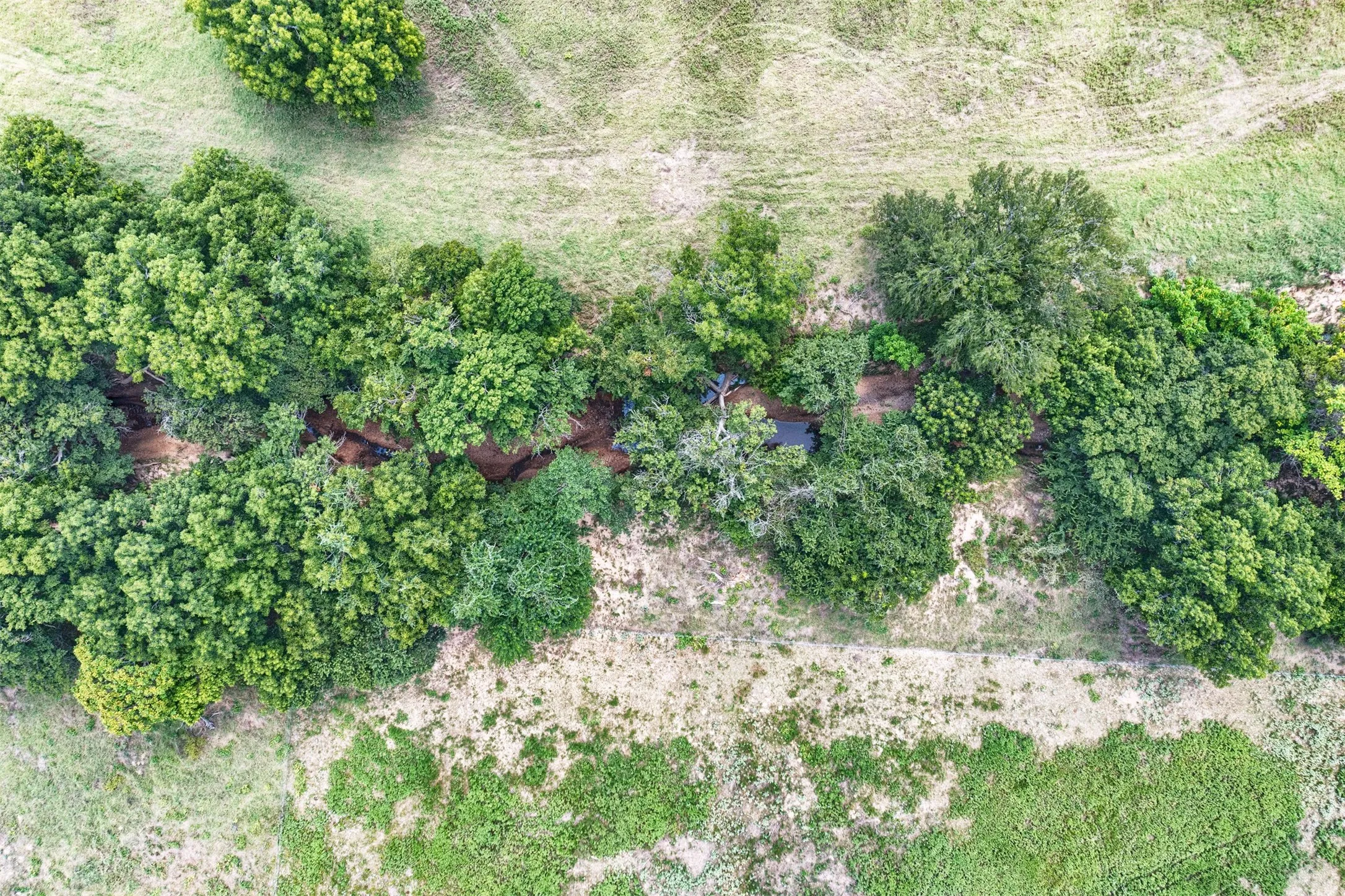 Aerial perspective showcasing a natural waterway bordered by dense, mature tree lines