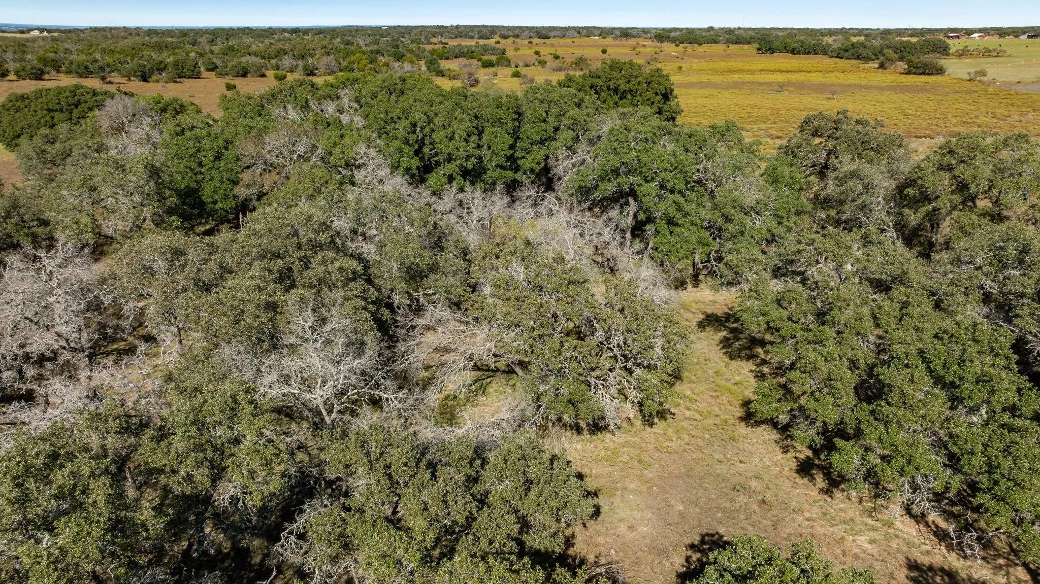 Unimproved Land For Sale in Comanche County , Lot 12 Pecan Valley Drive, Energy, Texas 76452, 0, 0, Garage spaces, 0 Sqft, built in 0, mls#21289359, Real Estate Agent in Energy, Homes For Sale in Comanche county, Homes For Sale in Energy, Realtor in Energy Texas, Real Estate Brokerage Independent Realty Texas, Luminita Cordes Realtor