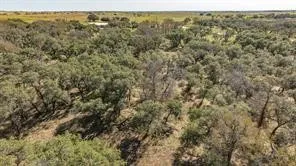Unimproved Land For Sale in Comanche County , Lot 12 Pecan Valley Drive, Energy, Texas 76452, 0, 0, Garage spaces, 0 Sqft, built in 0, mls#21289359, Real Estate Agent in Energy, Homes For Sale in Comanche county, Homes For Sale in Energy, Realtor in Energy Texas, Real Estate Brokerage Independent Realty Texas, Luminita Cordes Realtor