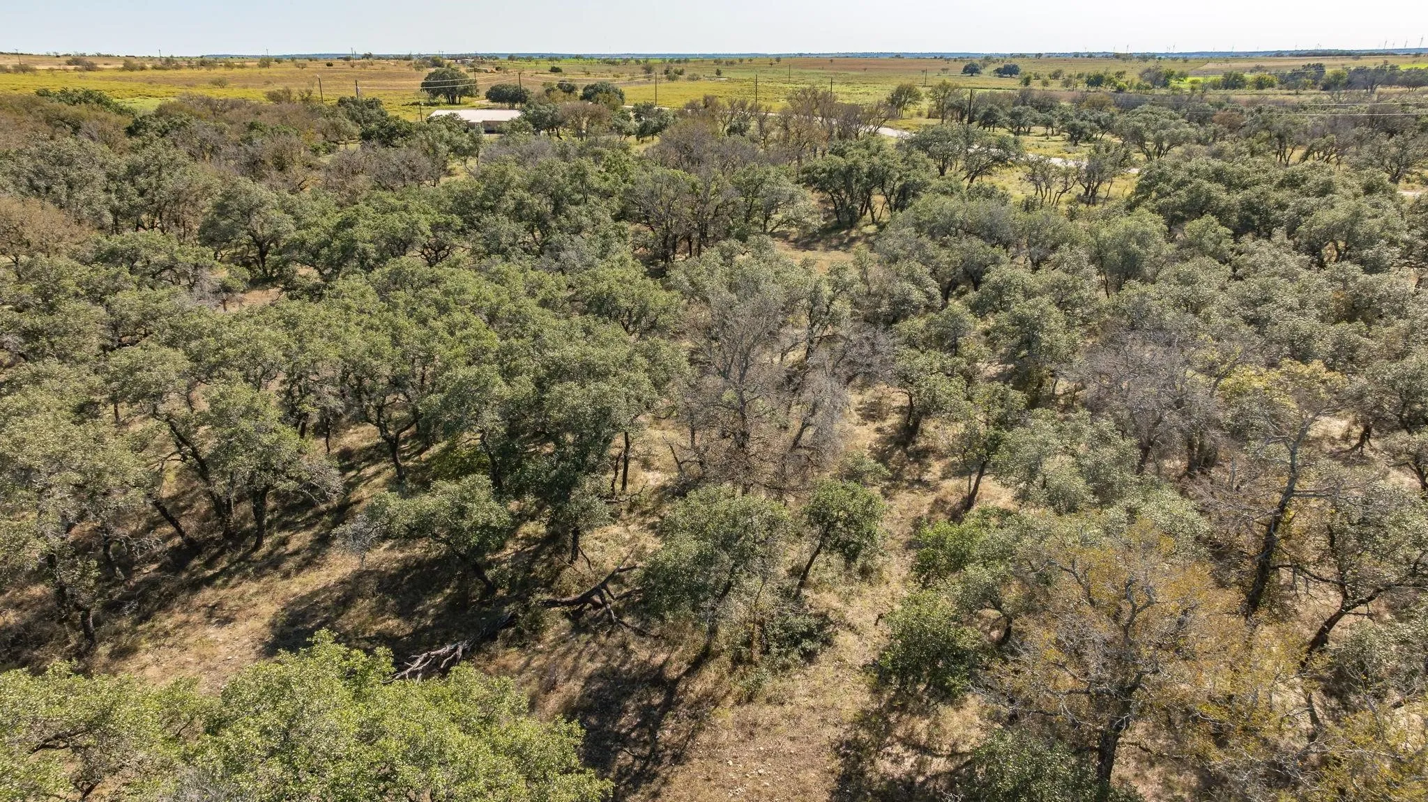 Unimproved Land For Sale in Comanche County , Lot 12 Pecan Valley Drive, Energy, Texas 76452, 0, 0, Garage spaces, 0 Sqft, built in 0, mls#21289359, Real Estate Agent in Energy, Homes For Sale in Comanche county, Homes For Sale in Energy, Realtor in Energy Texas, Real Estate Brokerage Independent Realty Texas, Luminita Cordes Realtor