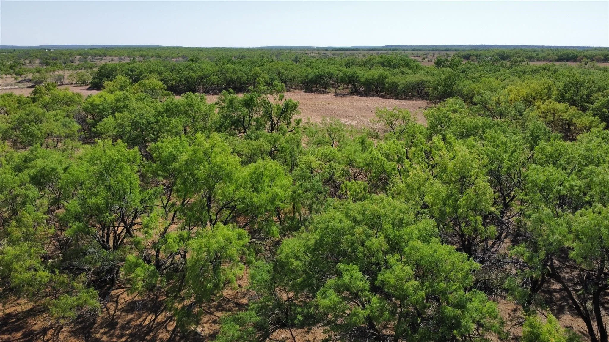 Ranch For Sale in Coleman County , TBD County Road 346 218ac, Gouldbusk, Texas 76845, 0, 0, Garage spaces, 0 Sqft, built in 0, mls#21289363, Real Estate Agent in Gouldbusk, Homes For Sale in Coleman county, Homes For Sale in Gouldbusk, Realtor in Gouldbusk Texas, Real Estate Brokerage Independent Realty Texas, Luminita Cordes Realtor
