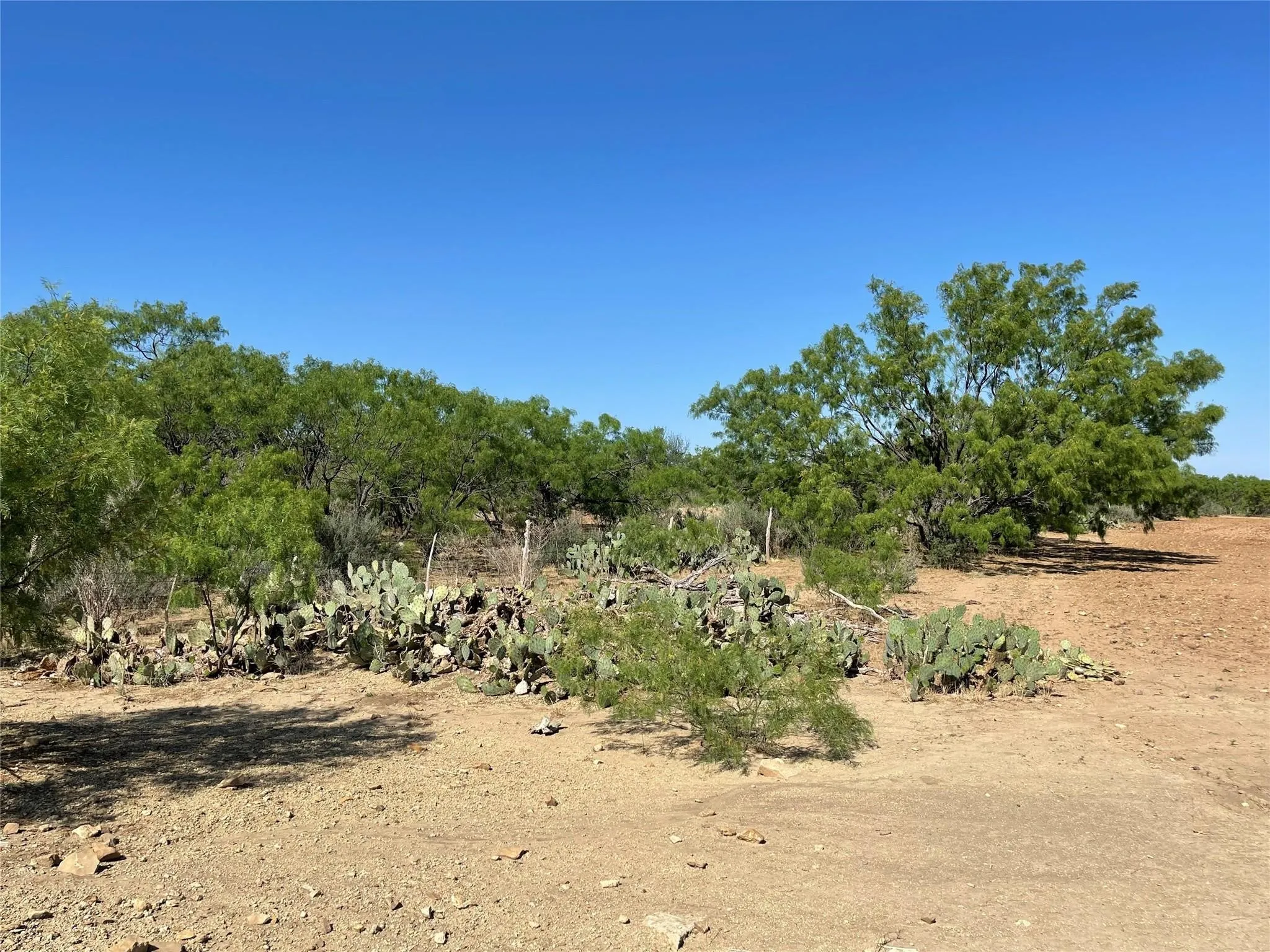 Ranch For Sale in Coleman County , TBD County Road 346 218ac, Gouldbusk, Texas 76845, 0, 0, Garage spaces, 0 Sqft, built in 0, mls#21289363, Real Estate Agent in Gouldbusk, Homes For Sale in Coleman county, Homes For Sale in Gouldbusk, Realtor in Gouldbusk Texas, Real Estate Brokerage Independent Realty Texas, Luminita Cordes Realtor
