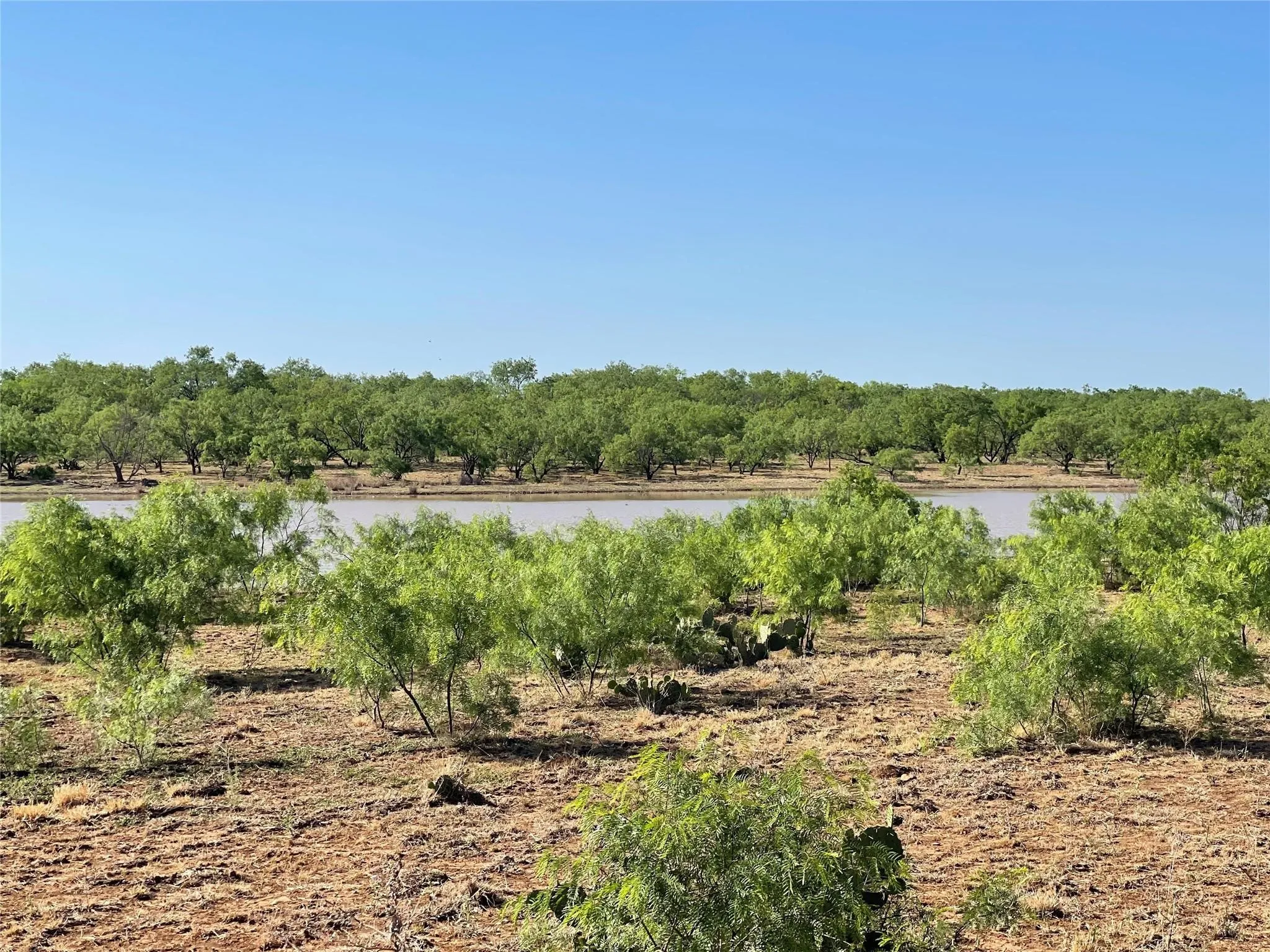 Ranch For Sale in Coleman County , TBD County Road 346 218ac, Gouldbusk, Texas 76845, 0, 0, Garage spaces, 0 Sqft, built in 0, mls#21289363, Real Estate Agent in Gouldbusk, Homes For Sale in Coleman county, Homes For Sale in Gouldbusk, Realtor in Gouldbusk Texas, Real Estate Brokerage Independent Realty Texas, Luminita Cordes Realtor