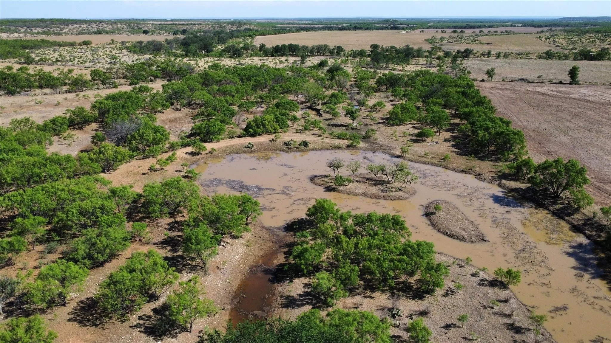 Ranch For Sale in Coleman County , TBD County Road 346 218ac, Gouldbusk, Texas 76845, 0, 0, Garage spaces, 0 Sqft, built in 0, mls#21289363, Real Estate Agent in Gouldbusk, Homes For Sale in Coleman county, Homes For Sale in Gouldbusk, Realtor in Gouldbusk Texas, Real Estate Brokerage Independent Realty Texas, Luminita Cordes Realtor