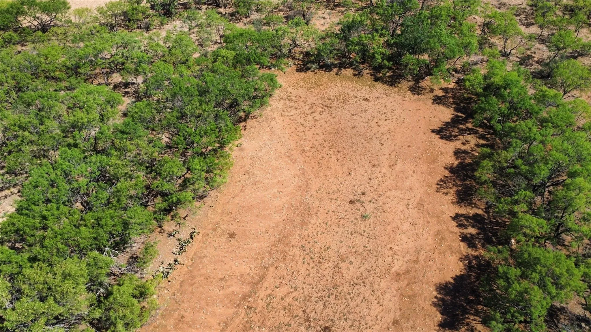 Ranch For Sale in Coleman County , TBD County Road 346 218ac, Gouldbusk, Texas 76845, 0, 0, Garage spaces, 0 Sqft, built in 0, mls#21289363, Real Estate Agent in Gouldbusk, Homes For Sale in Coleman county, Homes For Sale in Gouldbusk, Realtor in Gouldbusk Texas, Real Estate Brokerage Independent Realty Texas, Luminita Cordes Realtor