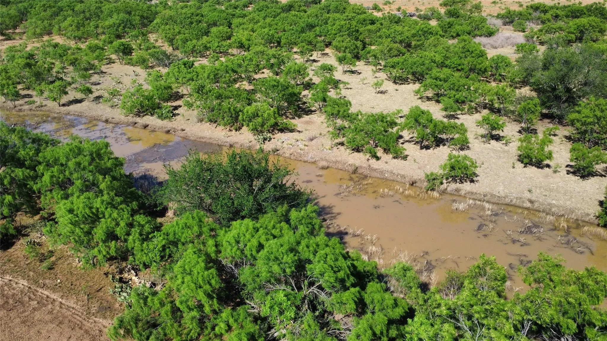 Ranch For Sale in Coleman County , TBD County Road 346 218ac, Gouldbusk, Texas 76845, 0, 0, Garage spaces, 0 Sqft, built in 0, mls#21289363, Real Estate Agent in Gouldbusk, Homes For Sale in Coleman county, Homes For Sale in Gouldbusk, Realtor in Gouldbusk Texas, Real Estate Brokerage Independent Realty Texas, Luminita Cordes Realtor