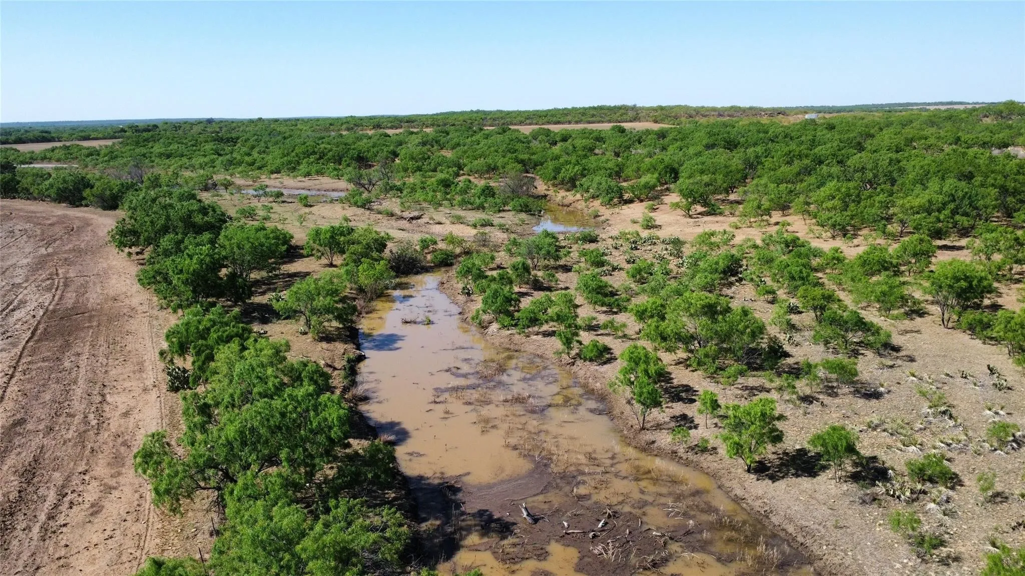 Ranch For Sale in Coleman County , TBD County Road 346 218ac, Gouldbusk, Texas 76845, 0, 0, Garage spaces, 0 Sqft, built in 0, mls#21289363, Real Estate Agent in Gouldbusk, Homes For Sale in Coleman county, Homes For Sale in Gouldbusk, Realtor in Gouldbusk Texas, Real Estate Brokerage Independent Realty Texas, Luminita Cordes Realtor