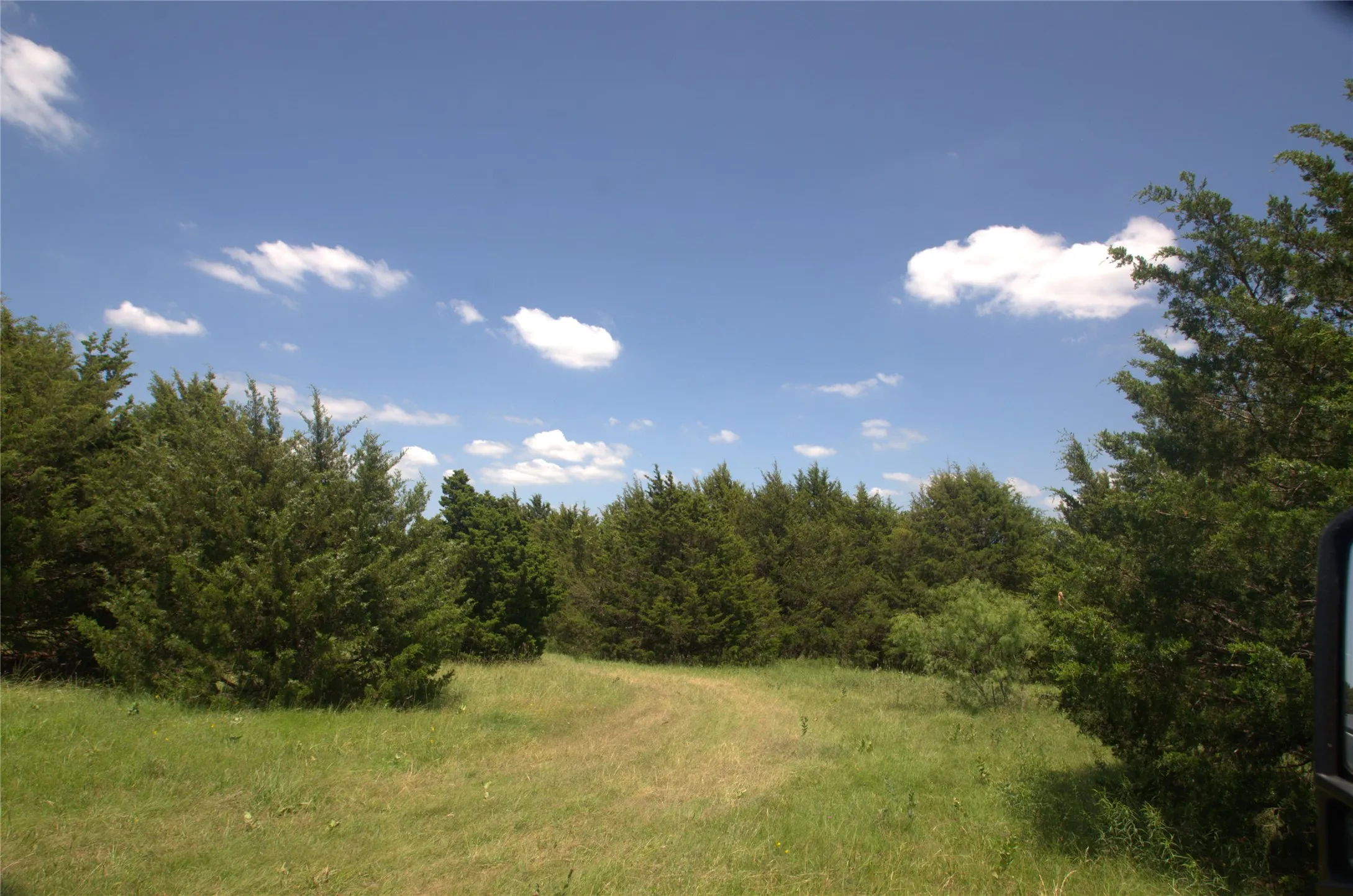 Improved Land For Sale in Grayson County , 21.543 Acres W FM 120 Highway, Pottsboro, Texas 75076, 0, 0, Garage spaces, 0 Sqft, built in 0, Price $861,720, mls#21262913, Real Estate Agent in Pottsboro, Homes For Sale in Grayson county, Homes For Sale in Pottsboro, Realtor in Pottsboro Texas, Real Estate Brokerage Independent Realty Texas, Luminita Cordes Realtor