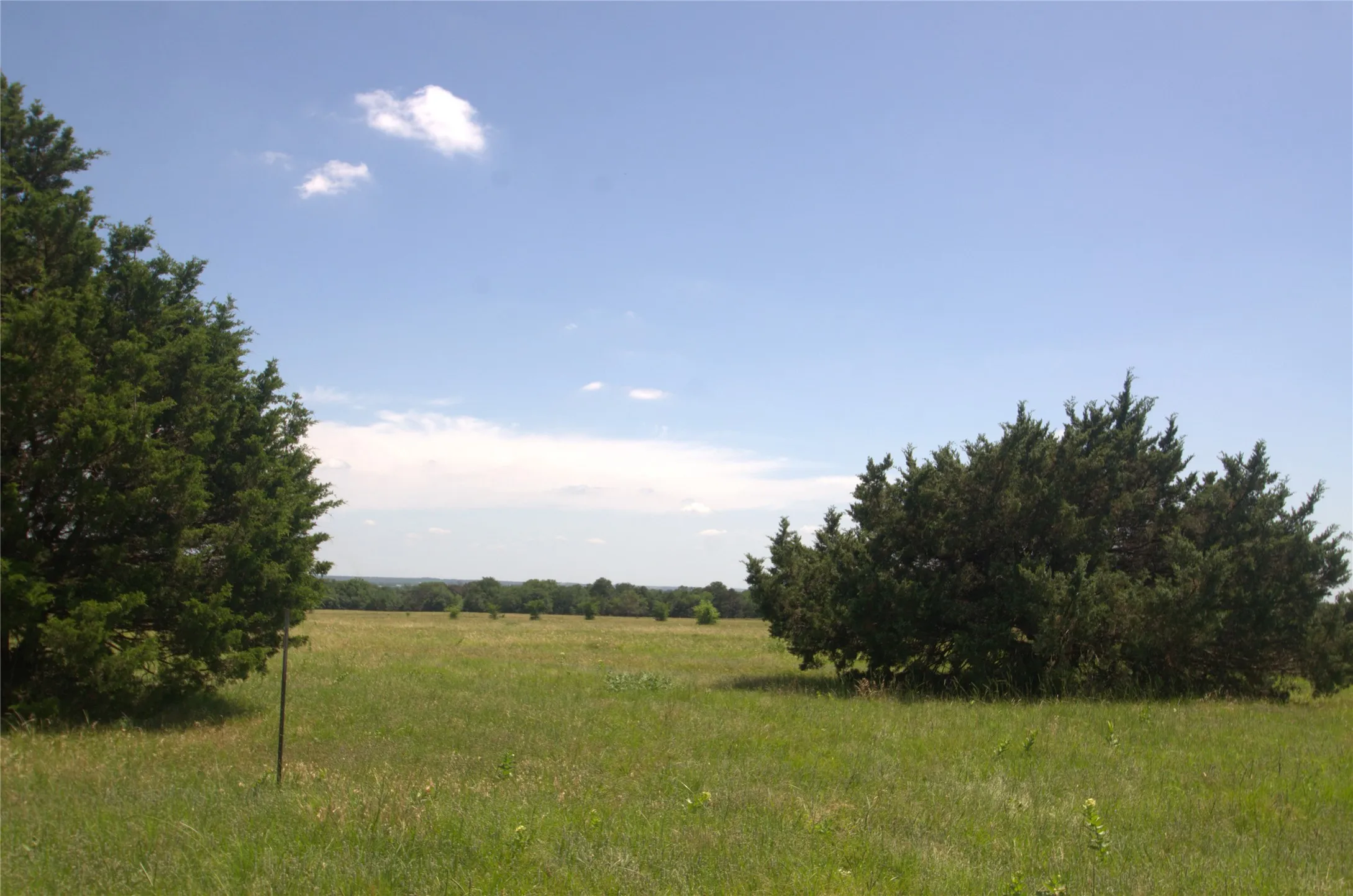 Improved Land For Sale in Grayson County , 21.543 Acres W FM 120 Highway, Pottsboro, Texas 75076, 0, 0, Garage spaces, 0 Sqft, built in 0, Price $861,720, mls#21262913, Real Estate Agent in Pottsboro, Homes For Sale in Grayson county, Homes For Sale in Pottsboro, Realtor in Pottsboro Texas, Real Estate Brokerage Independent Realty Texas, Luminita Cordes Realtor