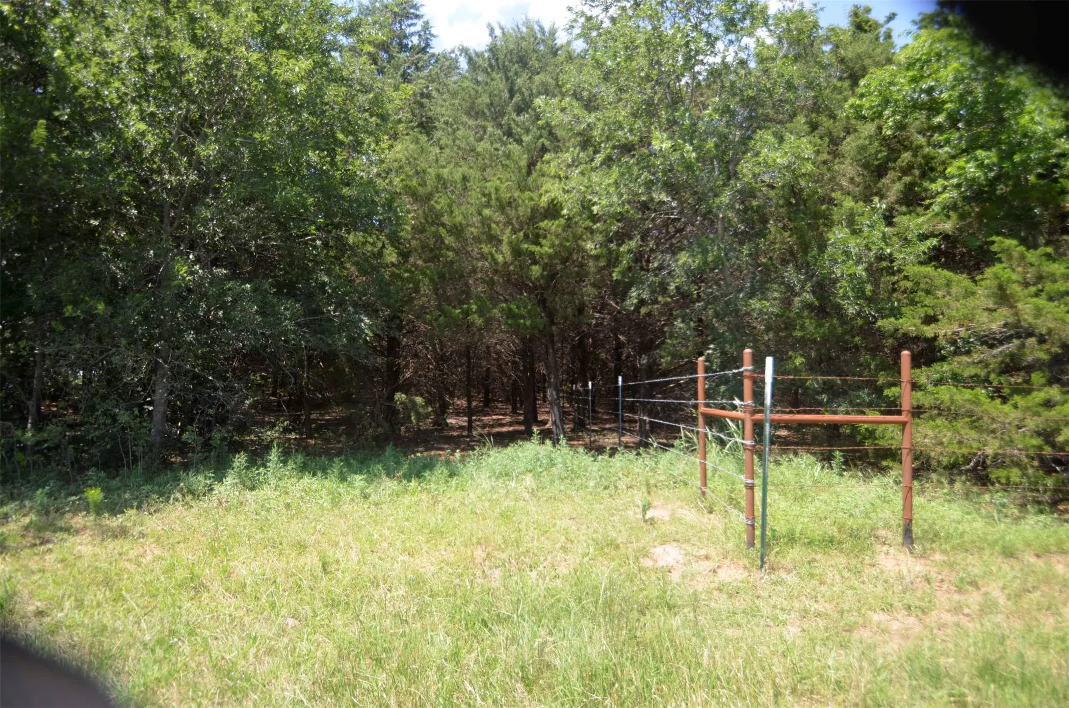 Improved Land For Sale in Grayson County , 21.543 Acres W FM 120 Highway, Pottsboro, Texas 75076, 0, 0, Garage spaces, 0 Sqft, built in 0, Price $861,720, mls#21262913, Real Estate Agent in Pottsboro, Homes For Sale in Grayson county, Homes For Sale in Pottsboro, Realtor in Pottsboro Texas, Real Estate Brokerage Independent Realty Texas, Luminita Cordes Realtor