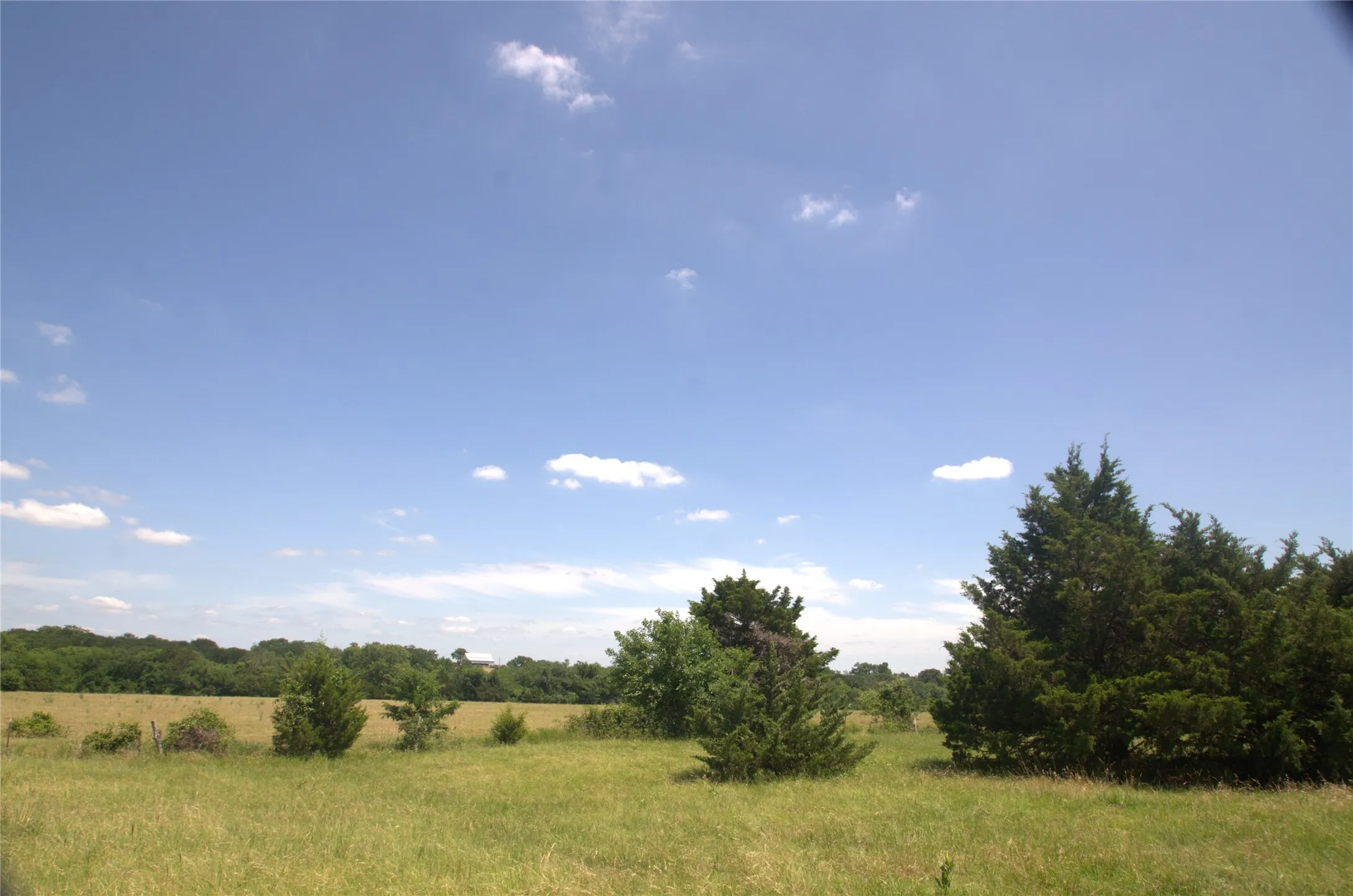 Improved Land For Sale in Grayson County , 21.543 Acres W FM 120 Highway, Pottsboro, Texas 75076, 0, 0, Garage spaces, 0 Sqft, built in 0, Price $861,720, mls#21262913, Real Estate Agent in Pottsboro, Homes For Sale in Grayson county, Homes For Sale in Pottsboro, Realtor in Pottsboro Texas, Real Estate Brokerage Independent Realty Texas, Luminita Cordes Realtor