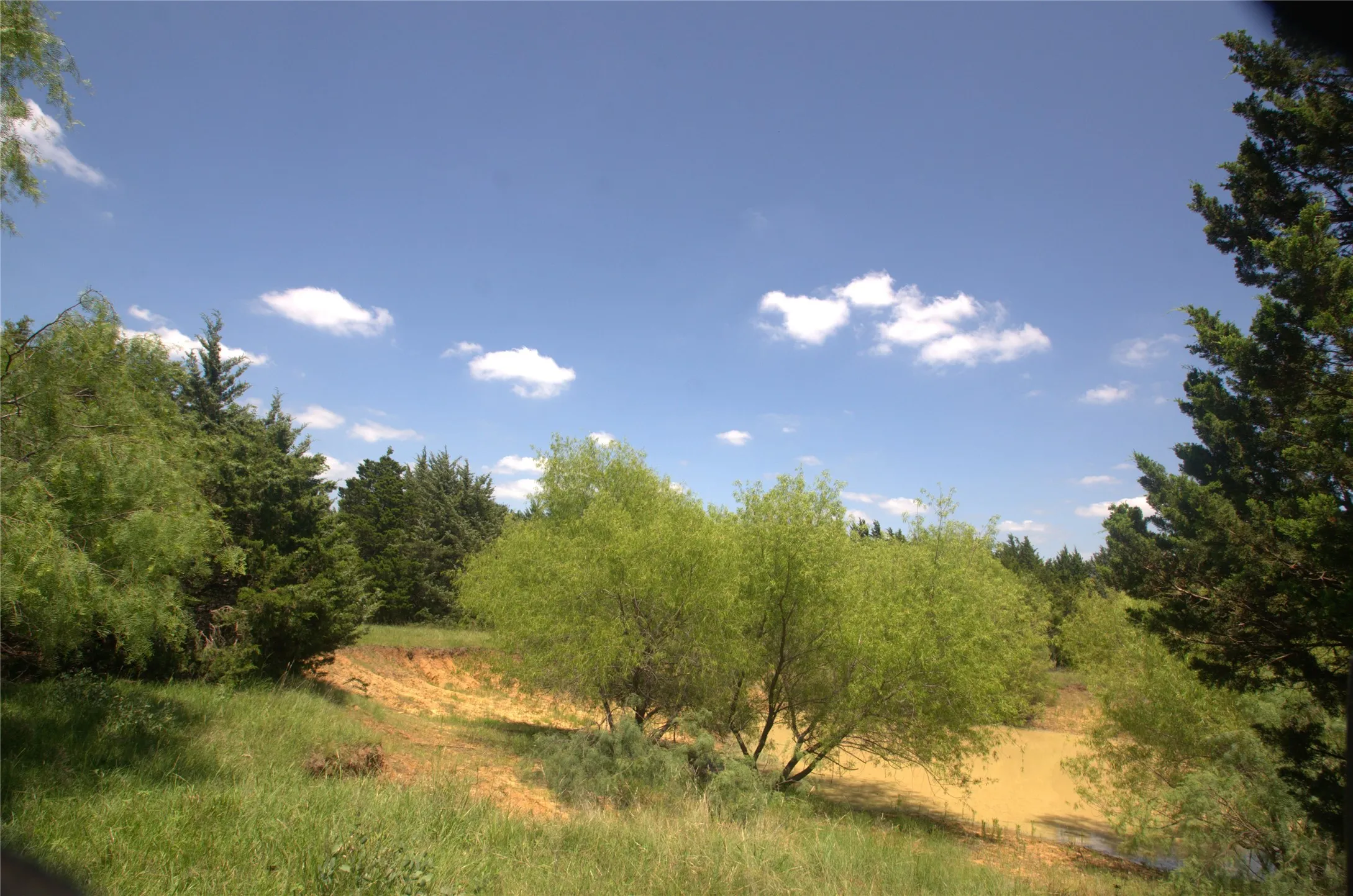 Improved Land For Sale in Grayson County , 21.543 Acres W FM 120 Highway, Pottsboro, Texas 75076, 0, 0, Garage spaces, 0 Sqft, built in 0, Price $861,720, mls#21262913, Real Estate Agent in Pottsboro, Homes For Sale in Grayson county, Homes For Sale in Pottsboro, Realtor in Pottsboro Texas, Real Estate Brokerage Independent Realty Texas, Luminita Cordes Realtor