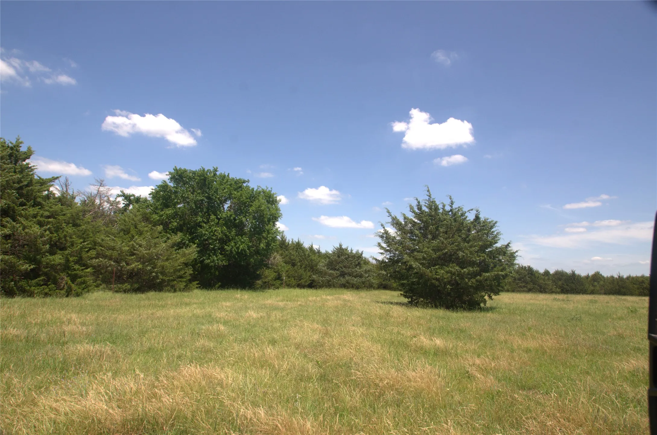 Improved Land For Sale in Grayson County , 21.543 Acres W FM 120 Highway, Pottsboro, Texas 75076, 0, 0, Garage spaces, 0 Sqft, built in 0, Price $861,720, mls#21262913, Real Estate Agent in Pottsboro, Homes For Sale in Grayson county, Homes For Sale in Pottsboro, Realtor in Pottsboro Texas, Real Estate Brokerage Independent Realty Texas, Luminita Cordes Realtor