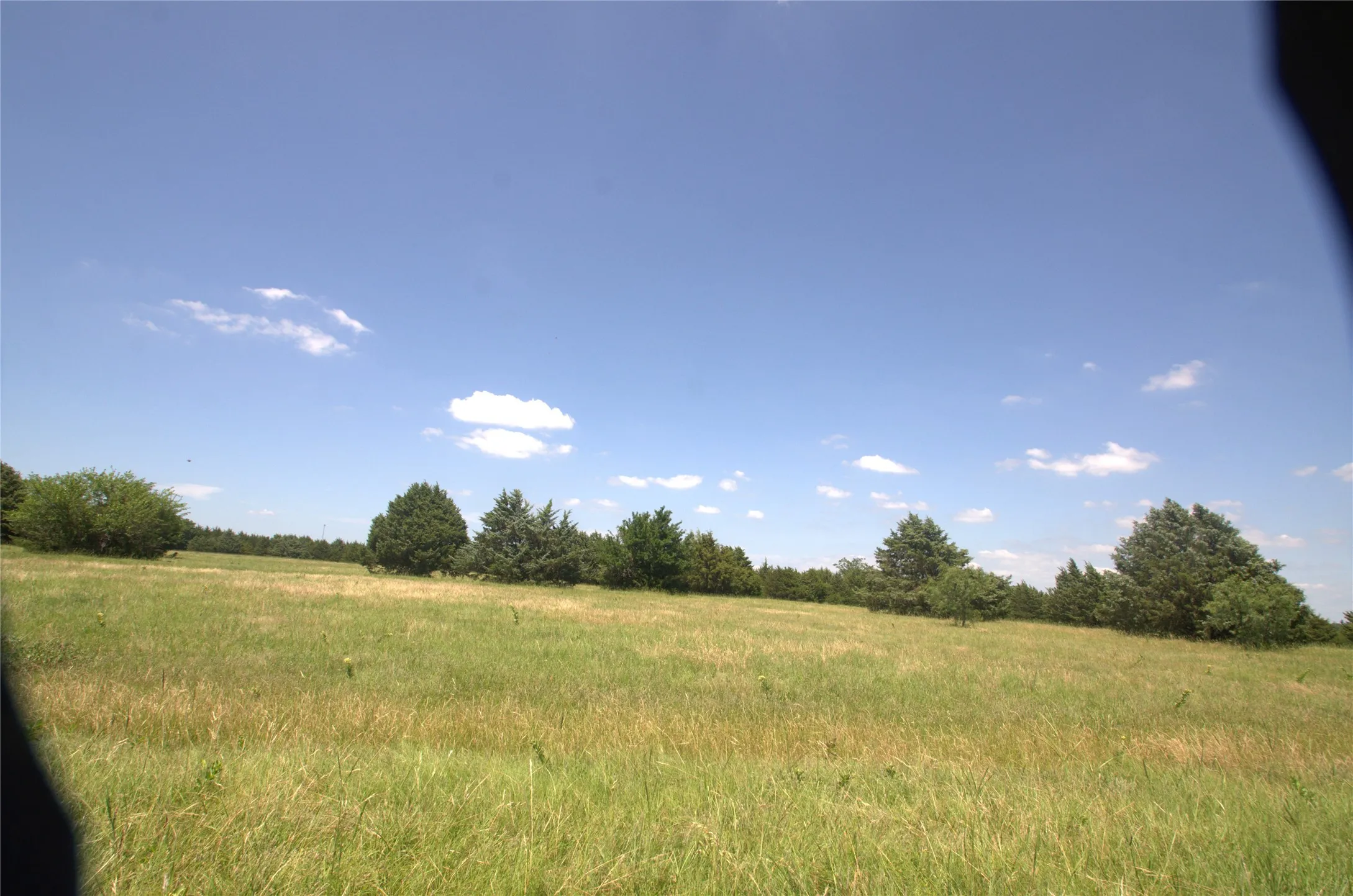 Improved Land For Sale in Grayson County , 21.543 Acres W FM 120 Highway, Pottsboro, Texas 75076, 0, 0, Garage spaces, 0 Sqft, built in 0, Price $861,720, mls#21262913, Real Estate Agent in Pottsboro, Homes For Sale in Grayson county, Homes For Sale in Pottsboro, Realtor in Pottsboro Texas, Real Estate Brokerage Independent Realty Texas, Luminita Cordes Realtor