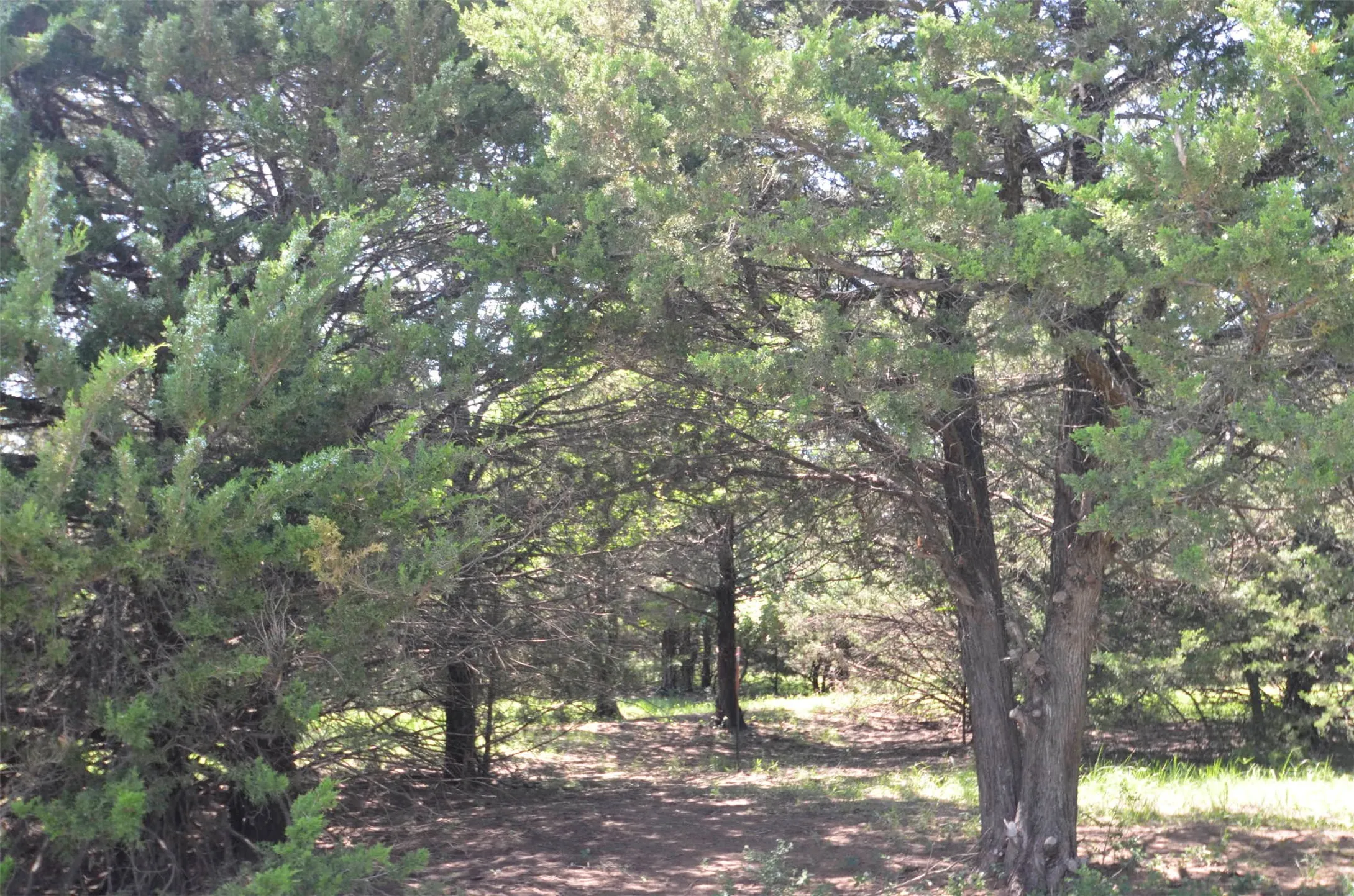Improved Land For Sale in Grayson County , 21.543 Acres W FM 120 Highway, Pottsboro, Texas 75076, 0, 0, Garage spaces, 0 Sqft, built in 0, Price $861,720, mls#21262913, Real Estate Agent in Pottsboro, Homes For Sale in Grayson county, Homes For Sale in Pottsboro, Realtor in Pottsboro Texas, Real Estate Brokerage Independent Realty Texas, Luminita Cordes Realtor