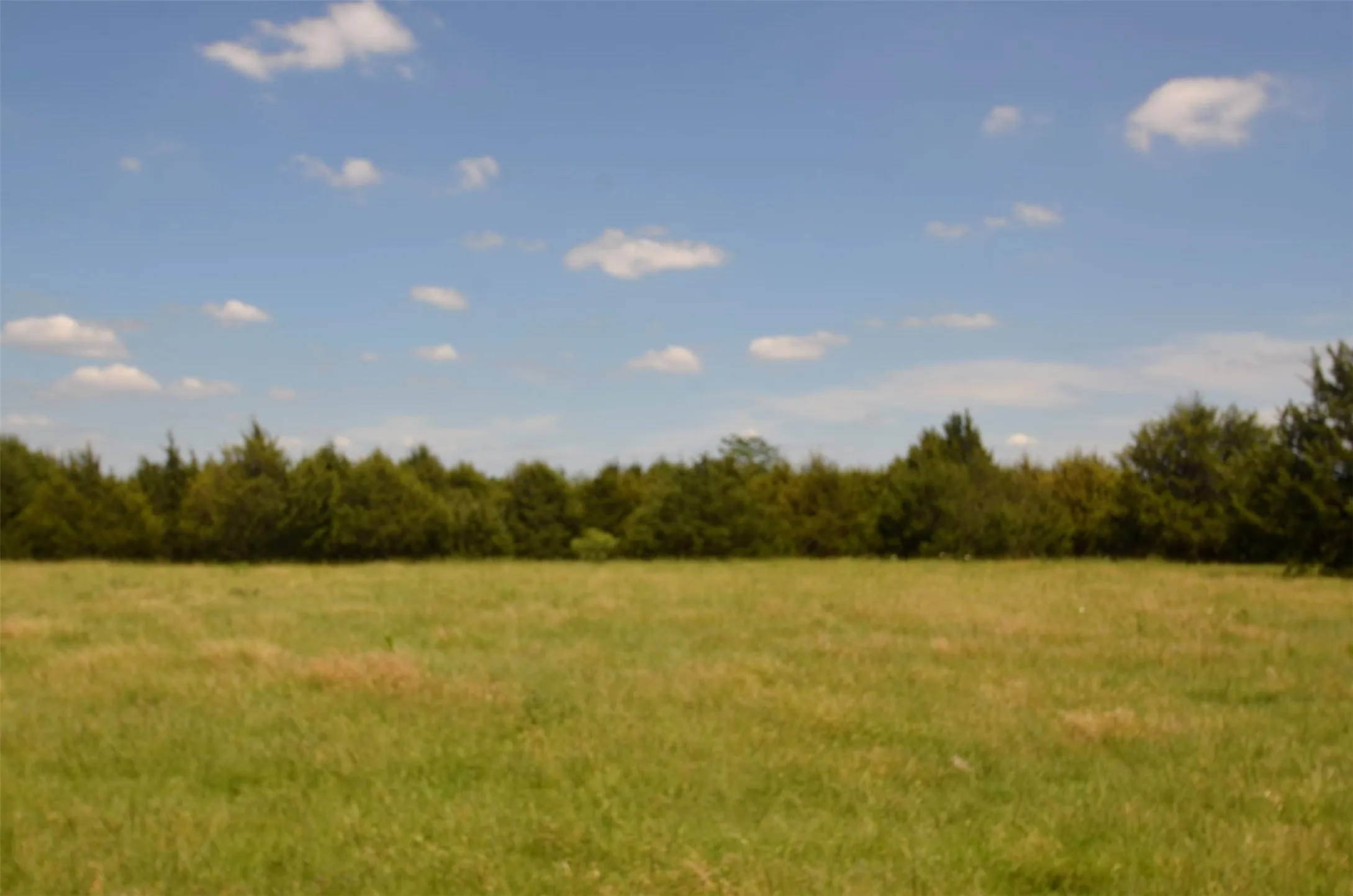 Improved Land For Sale in Grayson County , 21.543 Acres W FM 120 Highway, Pottsboro, Texas 75076, 0, 0, Garage spaces, 0 Sqft, built in 0, Price $861,720, mls#21262913, Real Estate Agent in Pottsboro, Homes For Sale in Grayson county, Homes For Sale in Pottsboro, Realtor in Pottsboro Texas, Real Estate Brokerage Independent Realty Texas, Luminita Cordes Realtor
