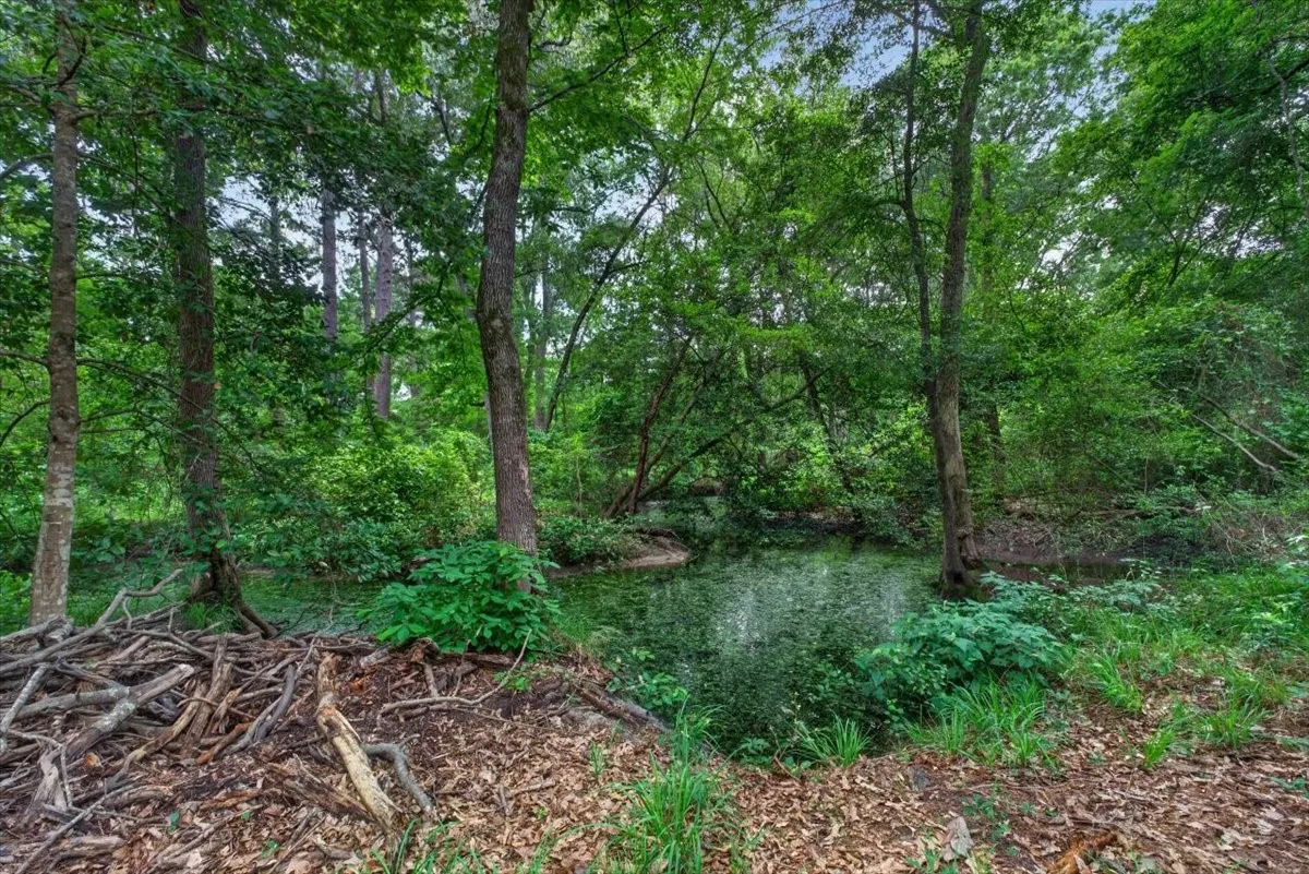 Improved Land For Sale in Henderson County , 21277 Joe Paul Lane, Chandler, Texas 75758, 0, 0, Garage spaces, 0 Sqft, built in 0, mls#21279097, Real Estate Agent in Chandler, Homes For Sale in Henderson county, Homes For Sale in Chandler, Realtor in Chandler Texas, Real Estate Brokerage Independent Realty Texas, Luminita Cordes Realtor