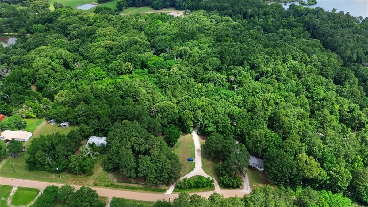 Improved Land For Sale in Henderson County , 21277 Joe Paul Lane, Chandler, Texas 75758, 0, 0, Garage spaces, 0 Sqft, built in 0, mls#21279097, Real Estate Agent in Chandler, Homes For Sale in Henderson county, Homes For Sale in Chandler, Realtor in Chandler Texas, Real Estate Brokerage Independent Realty Texas, Luminita Cordes Realtor