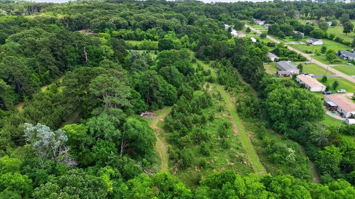 Improved Land For Sale in Henderson County , 21277 Joe Paul Lane, Chandler, Texas 75758, 0, 0, Garage spaces, 0 Sqft, built in 0, mls#21279097, Real Estate Agent in Chandler, Homes For Sale in Henderson county, Homes For Sale in Chandler, Realtor in Chandler Texas, Real Estate Brokerage Independent Realty Texas, Luminita Cordes Realtor