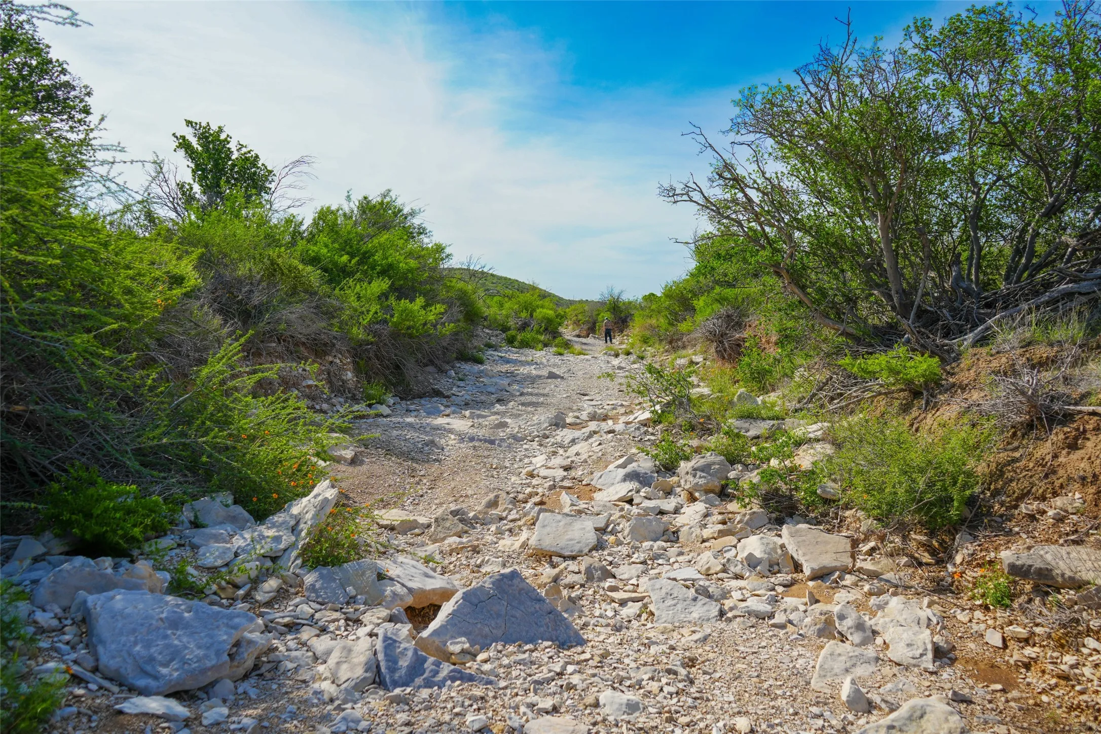 Ranch For Sale in Terrell County , 0 Cedar Creek Rd, No City, Texas 78851, 0, 0, Garage spaces, 0 Sqft, built in 2000, Price $950,000, mls#21289528, Real Estate Agent in No City, Homes For Sale in Terrell county, Homes For Sale in No City, Realtor in No City Texas, Real Estate Brokerage Independent Realty Texas, Luminita Cordes Realtor
