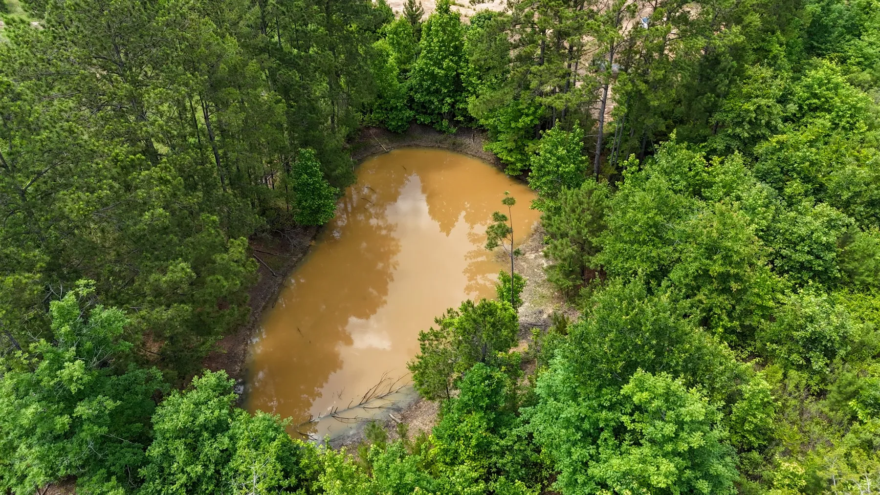 Unimproved Land For Sale in Marion County , 000 Avinger Cutoff Road, Avinger, Texas 75630, 0, 0, Garage spaces, 0 Sqft, built in 0, Price $525,000, mls#21289538, Real Estate Agent in Avinger, Homes For Sale in Marion county, Homes For Sale in Avinger, Realtor in Avinger Texas, Real Estate Brokerage Independent Realty Texas, Luminita Cordes Realtor