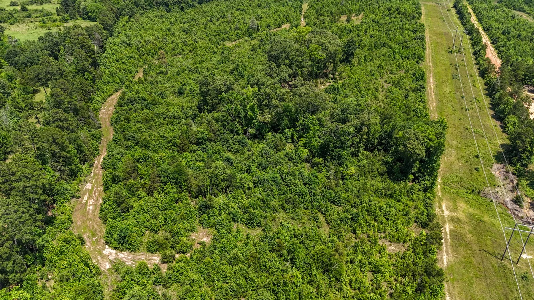 Unimproved Land For Sale in Marion County , 000 Avinger Cutoff Road, Avinger, Texas 75630, 0, 0, Garage spaces, 0 Sqft, built in 0, Price $525,000, mls#21289538, Real Estate Agent in Avinger, Homes For Sale in Marion county, Homes For Sale in Avinger, Realtor in Avinger Texas, Real Estate Brokerage Independent Realty Texas, Luminita Cordes Realtor