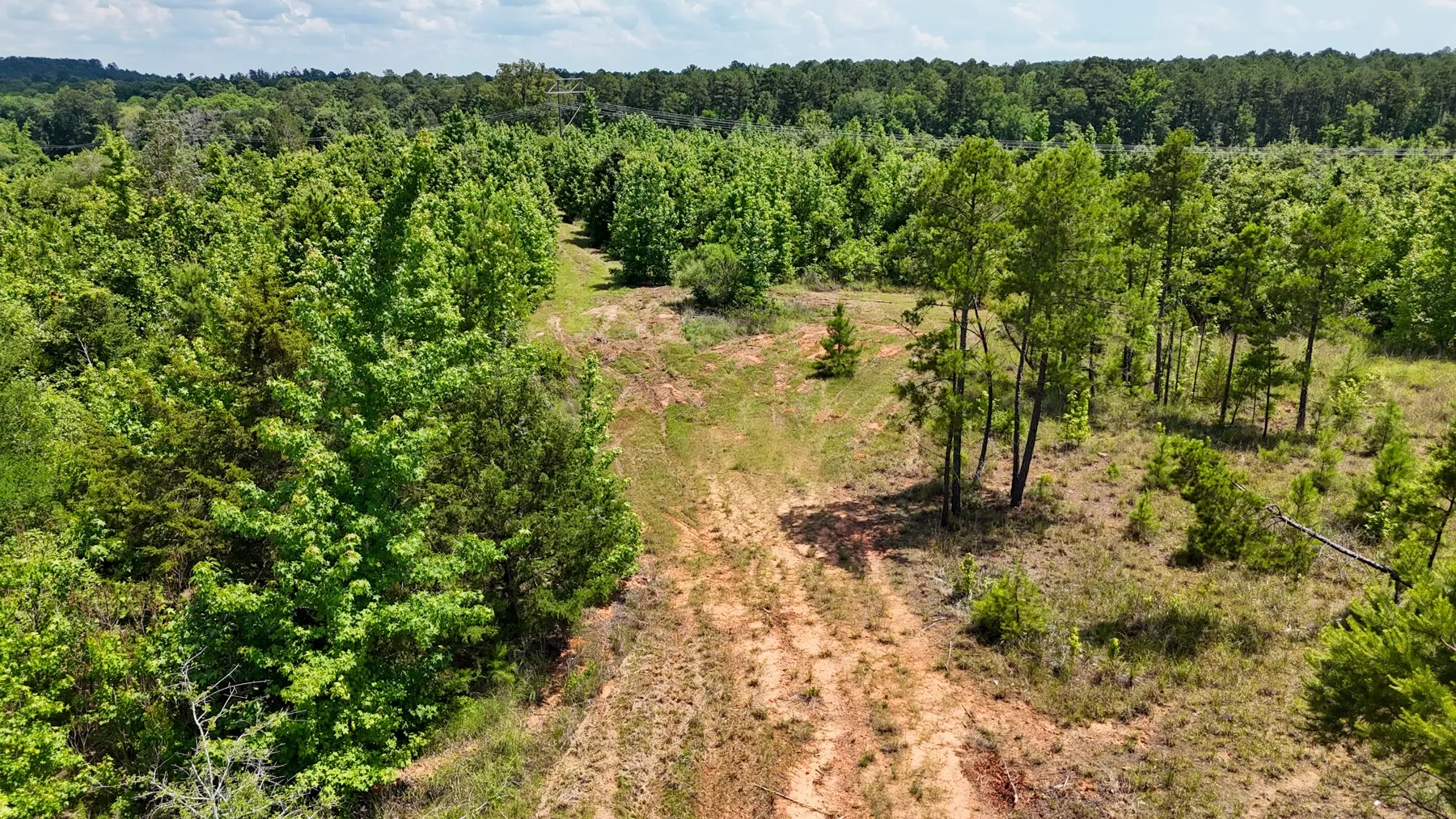 Unimproved Land For Sale in Marion County , 000 Avinger Cutoff Road, Avinger, Texas 75630, 0, 0, Garage spaces, 0 Sqft, built in 0, Price $525,000, mls#21289538, Real Estate Agent in Avinger, Homes For Sale in Marion county, Homes For Sale in Avinger, Realtor in Avinger Texas, Real Estate Brokerage Independent Realty Texas, Luminita Cordes Realtor