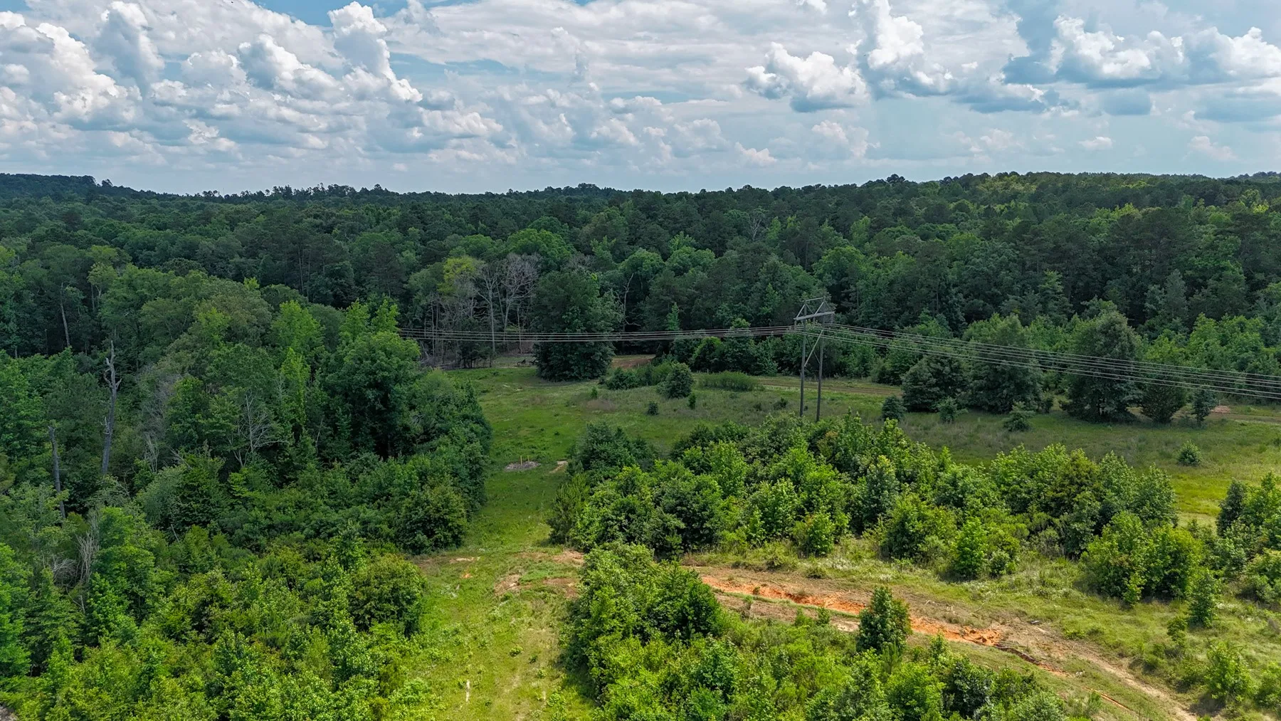 Unimproved Land For Sale in Marion County , 000 Avinger Cutoff Road, Avinger, Texas 75630, 0, 0, Garage spaces, 0 Sqft, built in 0, Price $525,000, mls#21289538, Real Estate Agent in Avinger, Homes For Sale in Marion county, Homes For Sale in Avinger, Realtor in Avinger Texas, Real Estate Brokerage Independent Realty Texas, Luminita Cordes Realtor