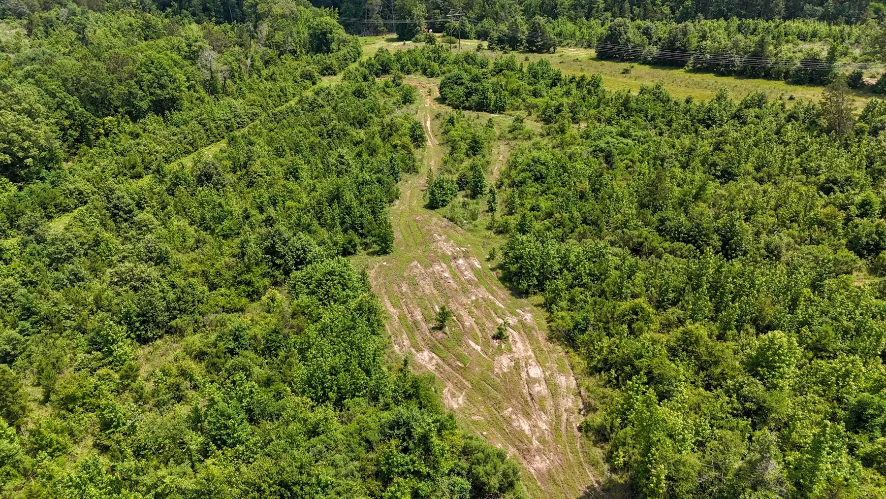 Unimproved Land For Sale in Marion County , 000 Avinger Cutoff Road, Avinger, Texas 75630, 0, 0, Garage spaces, 0 Sqft, built in 0, Price $525,000, mls#21289538, Real Estate Agent in Avinger, Homes For Sale in Marion county, Homes For Sale in Avinger, Realtor in Avinger Texas, Real Estate Brokerage Independent Realty Texas, Luminita Cordes Realtor