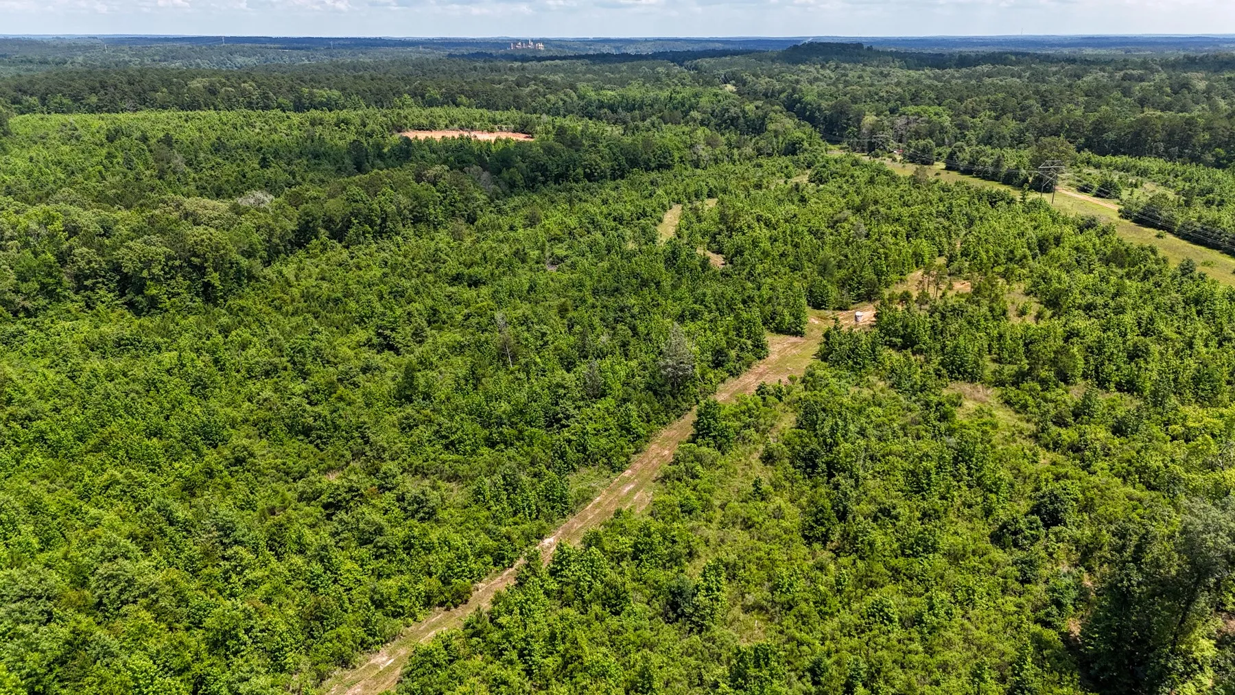 Unimproved Land For Sale in Marion County , 000 Avinger Cutoff Road, Avinger, Texas 75630, 0, 0, Garage spaces, 0 Sqft, built in 0, Price $525,000, mls#21289538, Real Estate Agent in Avinger, Homes For Sale in Marion county, Homes For Sale in Avinger, Realtor in Avinger Texas, Real Estate Brokerage Independent Realty Texas, Luminita Cordes Realtor