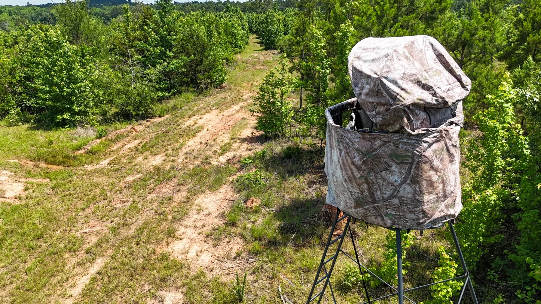Unimproved Land For Sale in Marion County , 000 Avinger Cutoff Road, Avinger, Texas 75630, 0, 0, Garage spaces, 0 Sqft, built in 0, Price $525,000, mls#21289538, Real Estate Agent in Avinger, Homes For Sale in Marion county, Homes For Sale in Avinger, Realtor in Avinger Texas, Real Estate Brokerage Independent Realty Texas, Luminita Cordes Realtor