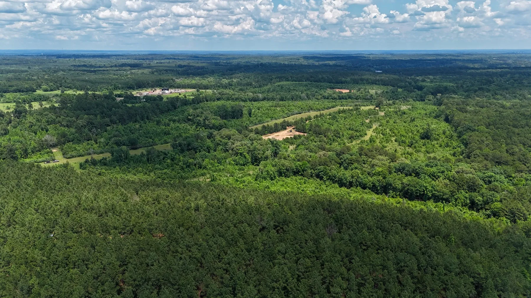 Unimproved Land For Sale in Marion County , 000 Avinger Cutoff Road, Avinger, Texas 75630, 0, 0, Garage spaces, 0 Sqft, built in 0, Price $525,000, mls#21289538, Real Estate Agent in Avinger, Homes For Sale in Marion county, Homes For Sale in Avinger, Realtor in Avinger Texas, Real Estate Brokerage Independent Realty Texas, Luminita Cordes Realtor