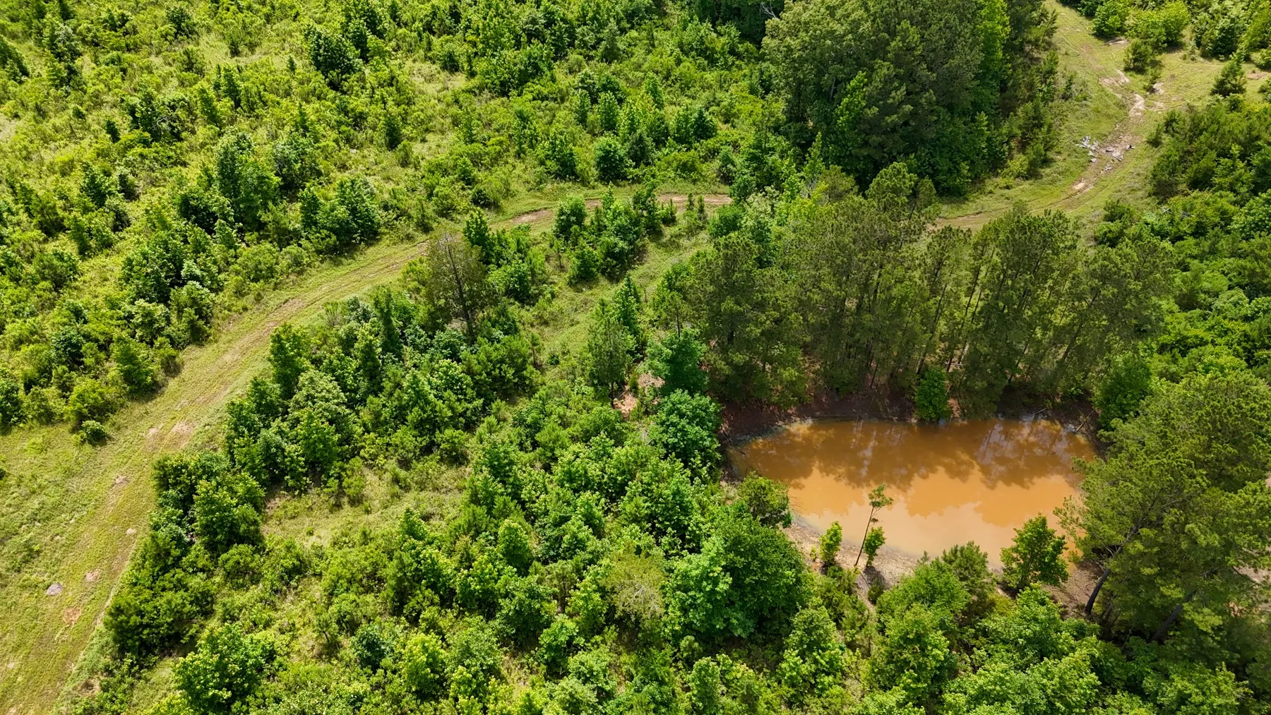 Unimproved Land For Sale in Marion County , 000 Avinger Cutoff Road, Avinger, Texas 75630, 0, 0, Garage spaces, 0 Sqft, built in 0, Price $525,000, mls#21289538, Real Estate Agent in Avinger, Homes For Sale in Marion county, Homes For Sale in Avinger, Realtor in Avinger Texas, Real Estate Brokerage Independent Realty Texas, Luminita Cordes Realtor