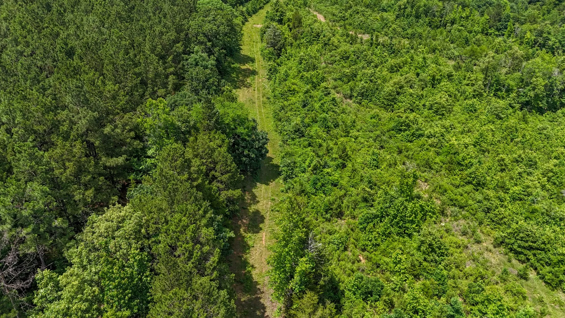 Unimproved Land For Sale in Marion County , 000 Avinger Cutoff Road, Avinger, Texas 75630, 0, 0, Garage spaces, 0 Sqft, built in 0, Price $525,000, mls#21289538, Real Estate Agent in Avinger, Homes For Sale in Marion county, Homes For Sale in Avinger, Realtor in Avinger Texas, Real Estate Brokerage Independent Realty Texas, Luminita Cordes Realtor