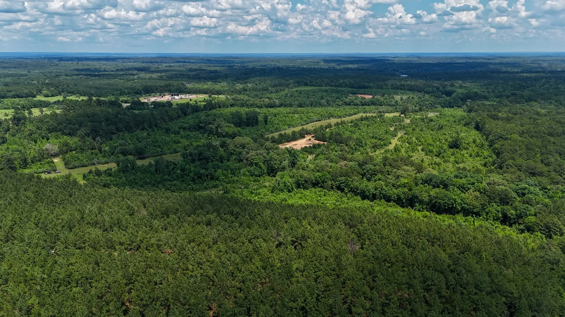 Unimproved Land For Sale in Marion County , 000 Avinger Cutoff Road, Avinger, Texas 75630, 0, 0, Garage spaces, 0 Sqft, built in 0, Price $525,000, mls#21289538, Real Estate Agent in Avinger, Homes For Sale in Marion county, Homes For Sale in Avinger, Realtor in Avinger Texas, Real Estate Brokerage Independent Realty Texas, Luminita Cordes Realtor