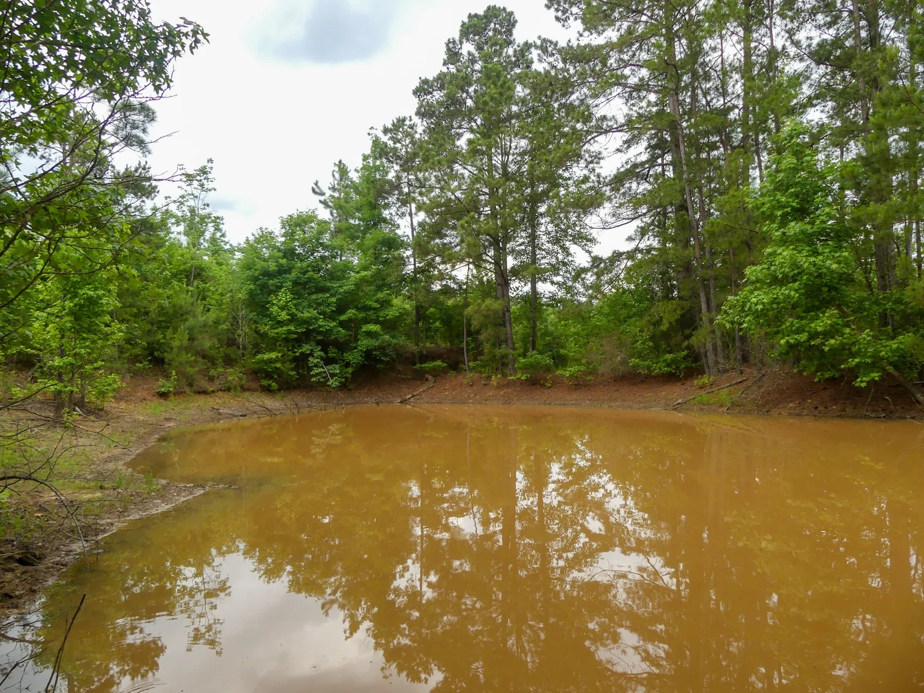 Unimproved Land For Sale in Marion County , 000 Avinger Cutoff Road, Avinger, Texas 75630, 0, 0, Garage spaces, 0 Sqft, built in 0, Price $525,000, mls#21289538, Real Estate Agent in Avinger, Homes For Sale in Marion county, Homes For Sale in Avinger, Realtor in Avinger Texas, Real Estate Brokerage Independent Realty Texas, Luminita Cordes Realtor
