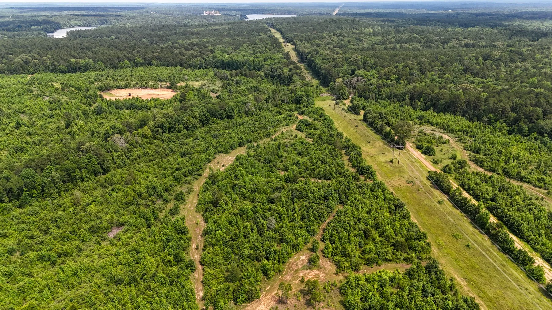 Unimproved Land For Sale in Marion County , 000 Avinger Cutoff Road, Avinger, Texas 75630, 0, 0, Garage spaces, 0 Sqft, built in 0, Price $525,000, mls#21289538, Real Estate Agent in Avinger, Homes For Sale in Marion county, Homes For Sale in Avinger, Realtor in Avinger Texas, Real Estate Brokerage Independent Realty Texas, Luminita Cordes Realtor