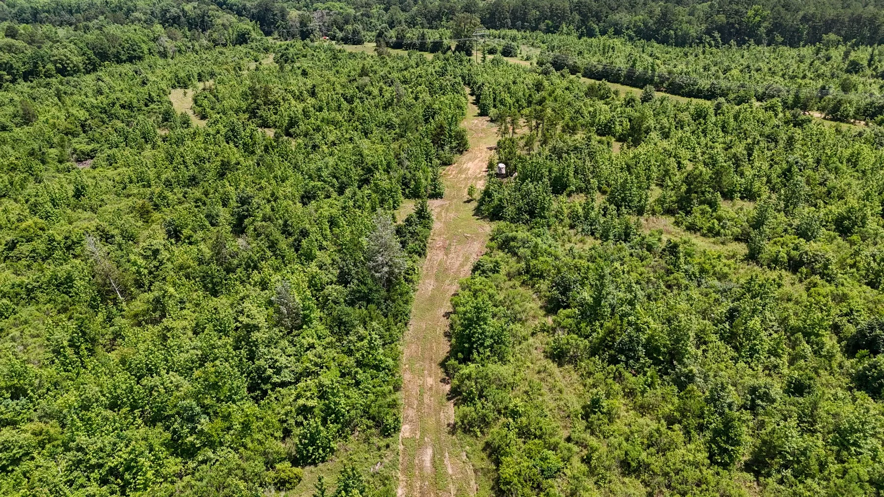 Unimproved Land For Sale in Marion County , 000 Avinger Cutoff Road, Avinger, Texas 75630, 0, 0, Garage spaces, 0 Sqft, built in 0, Price $525,000, mls#21289538, Real Estate Agent in Avinger, Homes For Sale in Marion county, Homes For Sale in Avinger, Realtor in Avinger Texas, Real Estate Brokerage Independent Realty Texas, Luminita Cordes Realtor