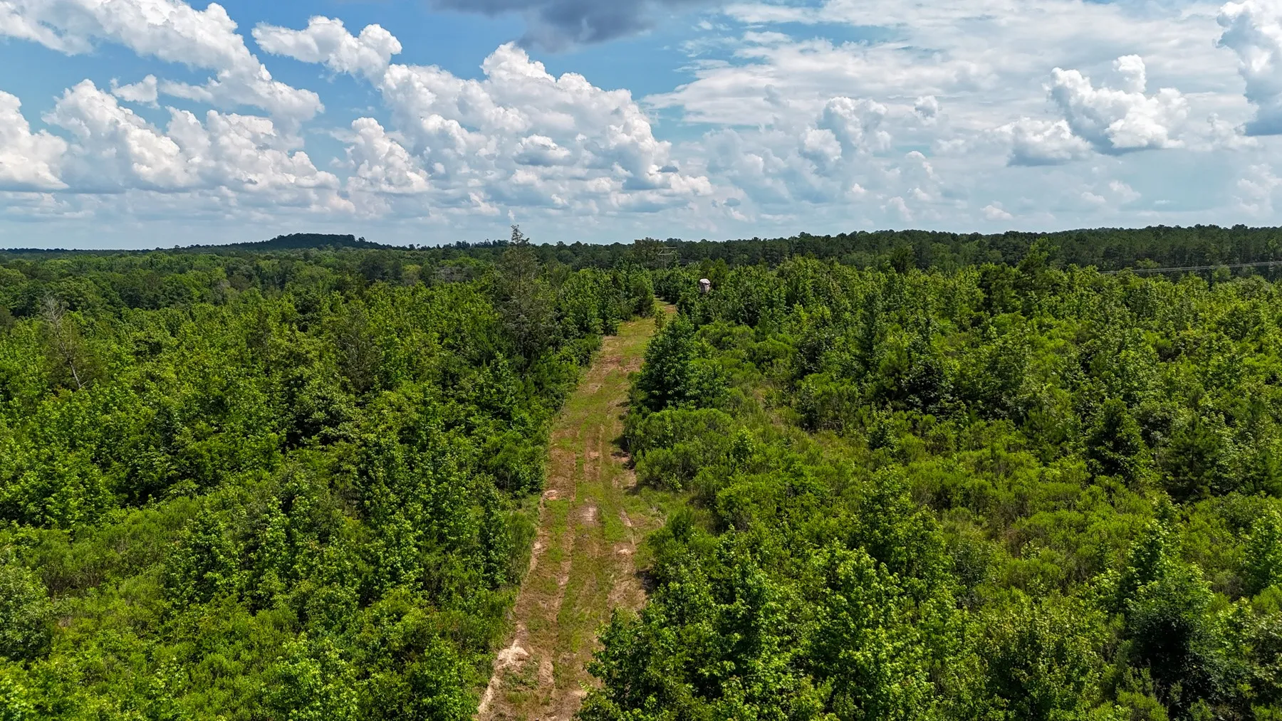 Unimproved Land For Sale in Marion County , 000 Avinger Cutoff Road, Avinger, Texas 75630, 0, 0, Garage spaces, 0 Sqft, built in 0, Price $525,000, mls#21289538, Real Estate Agent in Avinger, Homes For Sale in Marion county, Homes For Sale in Avinger, Realtor in Avinger Texas, Real Estate Brokerage Independent Realty Texas, Luminita Cordes Realtor