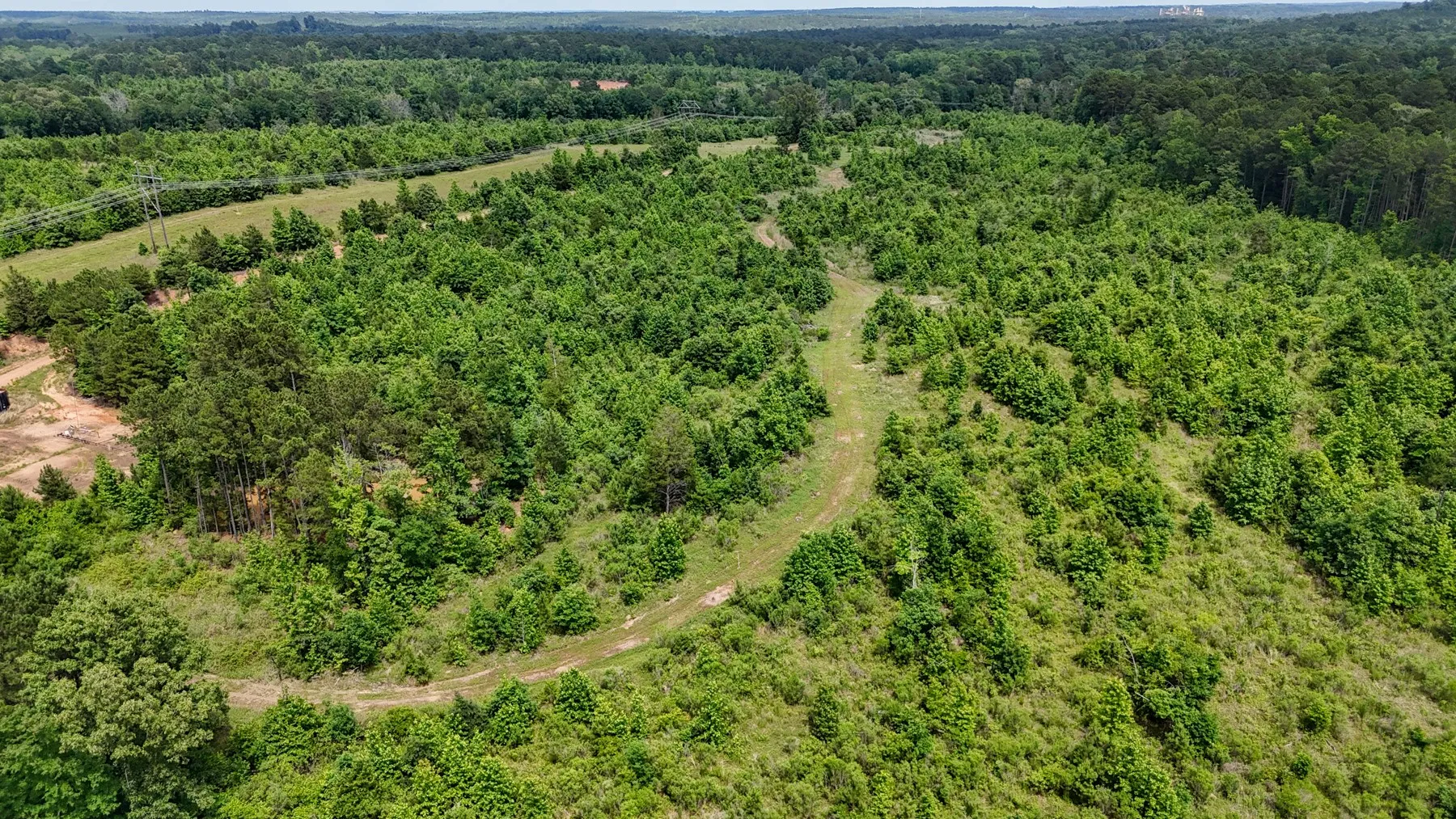 Unimproved Land For Sale in Marion County , 000 Avinger Cutoff Road, Avinger, Texas 75630, 0, 0, Garage spaces, 0 Sqft, built in 0, Price $525,000, mls#21289538, Real Estate Agent in Avinger, Homes For Sale in Marion county, Homes For Sale in Avinger, Realtor in Avinger Texas, Real Estate Brokerage Independent Realty Texas, Luminita Cordes Realtor