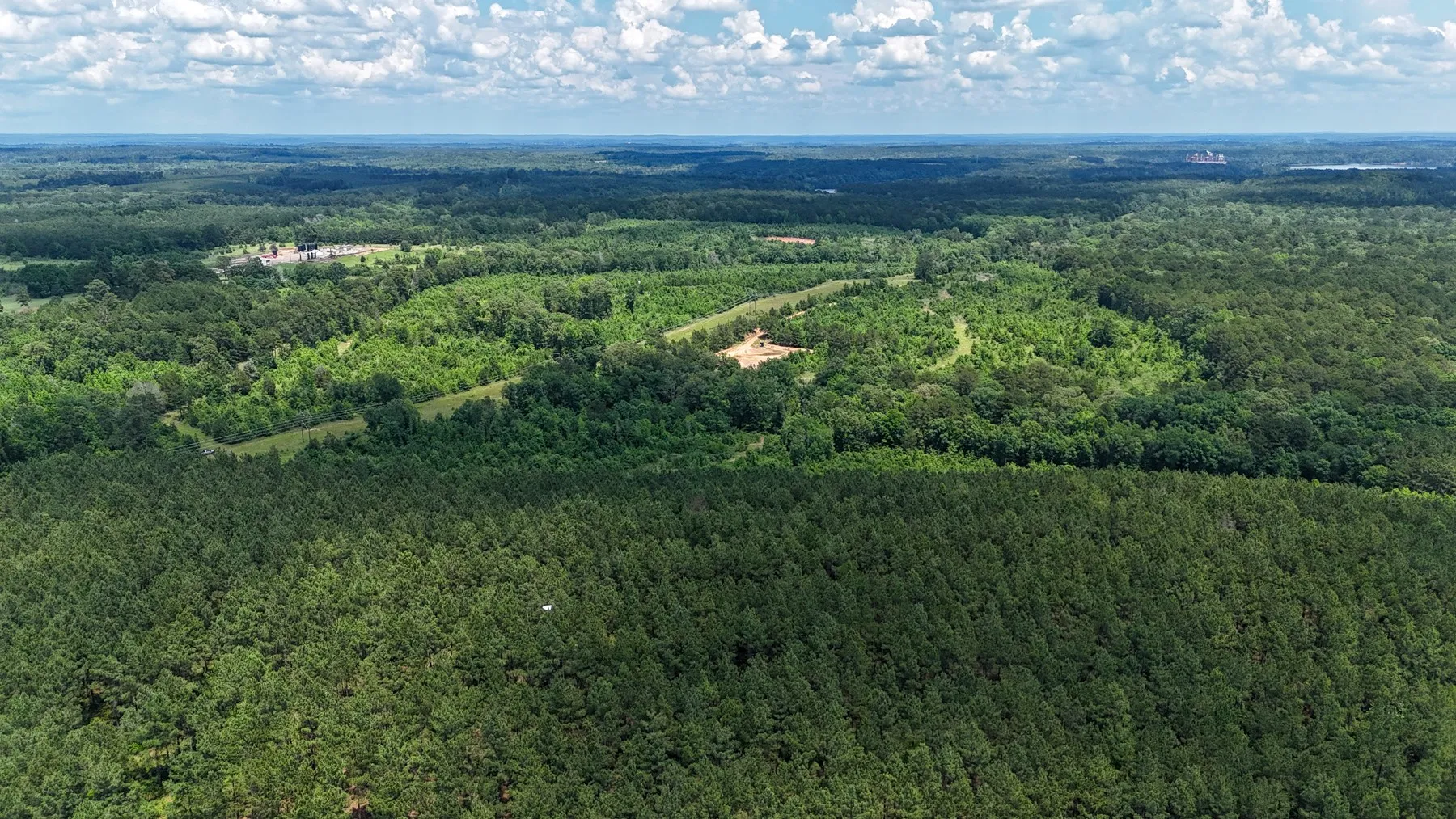 Unimproved Land For Sale in Marion County , 000 Avinger Cutoff Road, Avinger, Texas 75630, 0, 0, Garage spaces, 0 Sqft, built in 0, Price $525,000, mls#21289538, Real Estate Agent in Avinger, Homes For Sale in Marion county, Homes For Sale in Avinger, Realtor in Avinger Texas, Real Estate Brokerage Independent Realty Texas, Luminita Cordes Realtor
