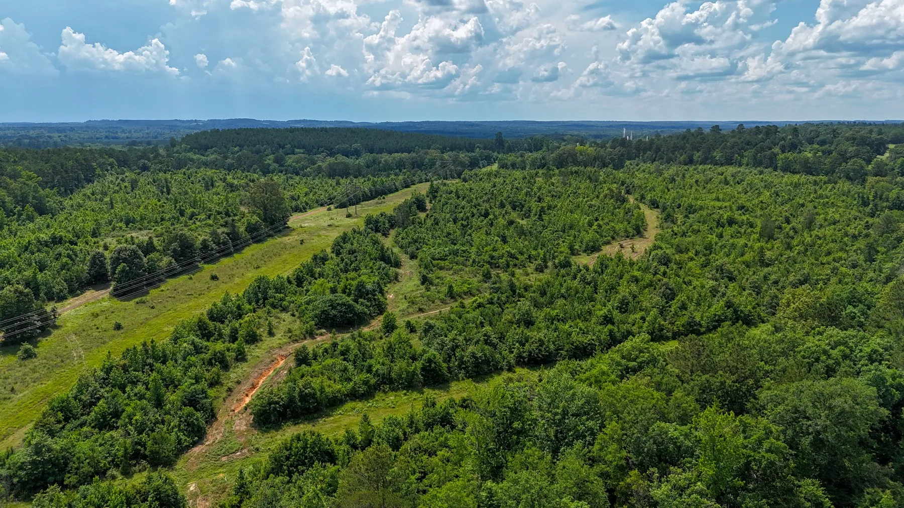 Unimproved Land For Sale in Marion County , 000 Avinger Cutoff Road, Avinger, Texas 75630, 0, 0, Garage spaces, 0 Sqft, built in 0, Price $525,000, mls#21289538, Real Estate Agent in Avinger, Homes For Sale in Marion county, Homes For Sale in Avinger, Realtor in Avinger Texas, Real Estate Brokerage Independent Realty Texas, Luminita Cordes Realtor