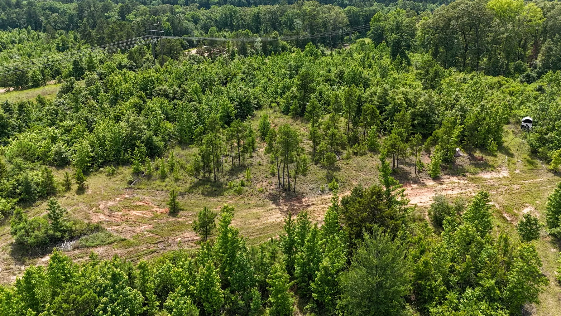 Unimproved Land For Sale in Marion County , 000 Avinger Cutoff Road, Avinger, Texas 75630, 0, 0, Garage spaces, 0 Sqft, built in 0, Price $525,000, mls#21289538, Real Estate Agent in Avinger, Homes For Sale in Marion county, Homes For Sale in Avinger, Realtor in Avinger Texas, Real Estate Brokerage Independent Realty Texas, Luminita Cordes Realtor