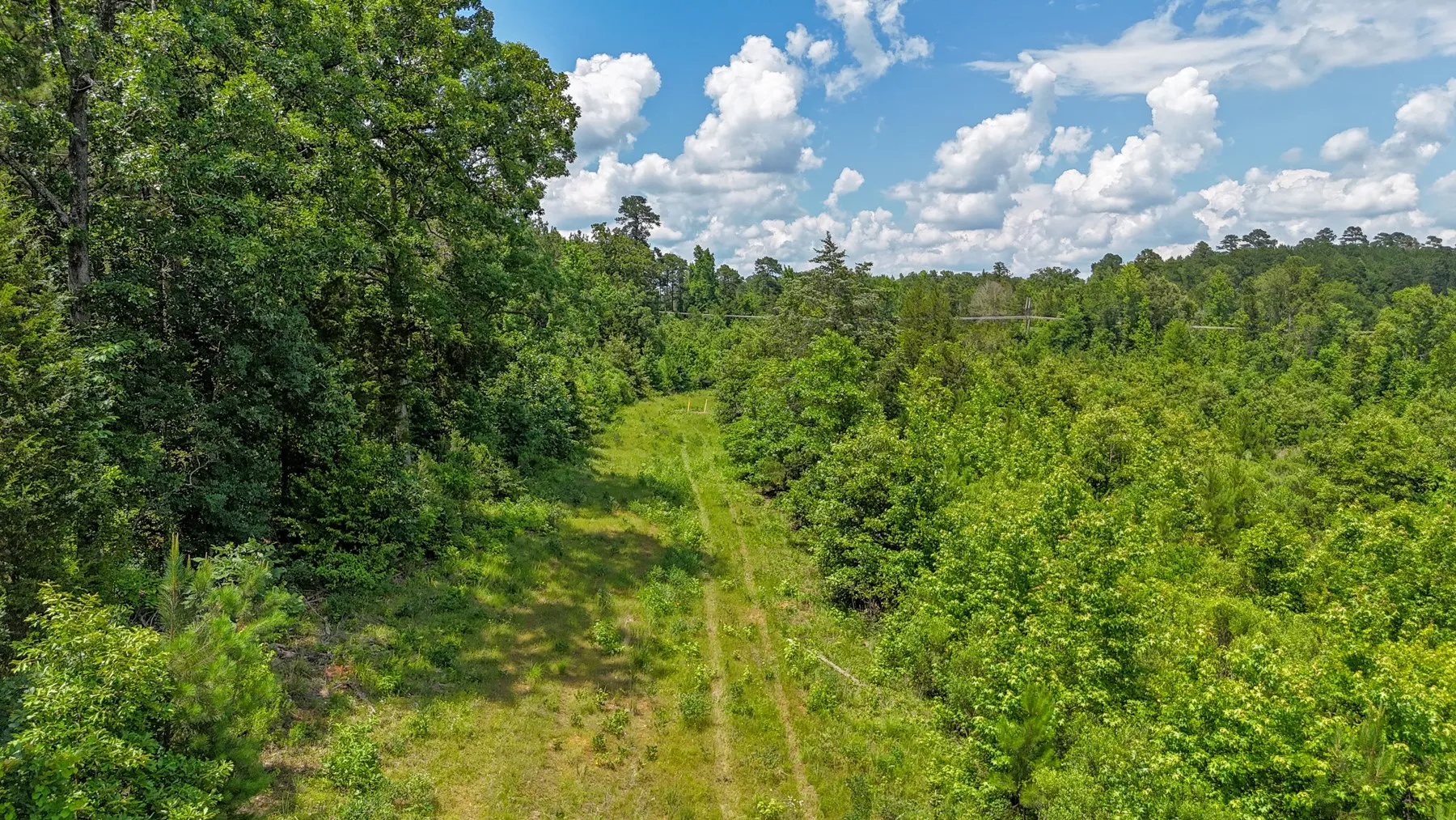 Unimproved Land For Sale in Marion County , 000 Avinger Cutoff Road, Avinger, Texas 75630, 0, 0, Garage spaces, 0 Sqft, built in 0, Price $525,000, mls#21289538, Real Estate Agent in Avinger, Homes For Sale in Marion county, Homes For Sale in Avinger, Realtor in Avinger Texas, Real Estate Brokerage Independent Realty Texas, Luminita Cordes Realtor
