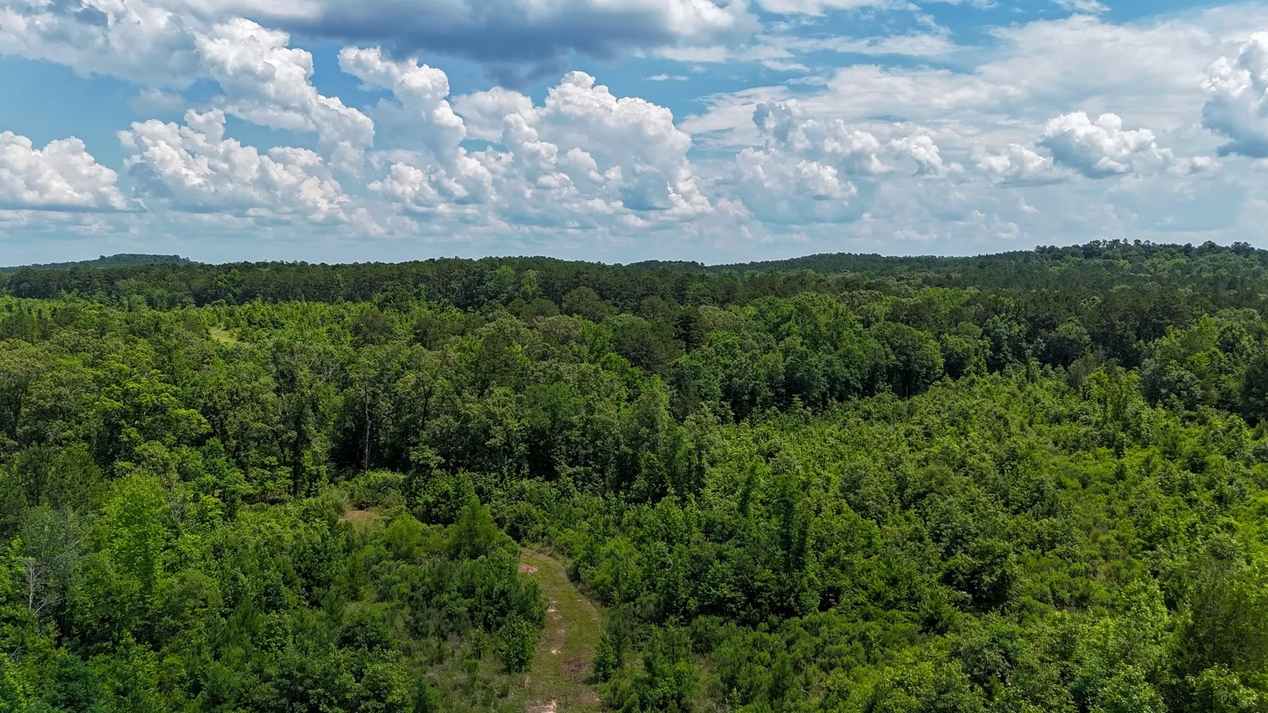 Unimproved Land For Sale in Marion County , 000 Avinger Cutoff Road, Avinger, Texas 75630, 0, 0, Garage spaces, 0 Sqft, built in 0, Price $525,000, mls#21289538, Real Estate Agent in Avinger, Homes For Sale in Marion county, Homes For Sale in Avinger, Realtor in Avinger Texas, Real Estate Brokerage Independent Realty Texas, Luminita Cordes Realtor