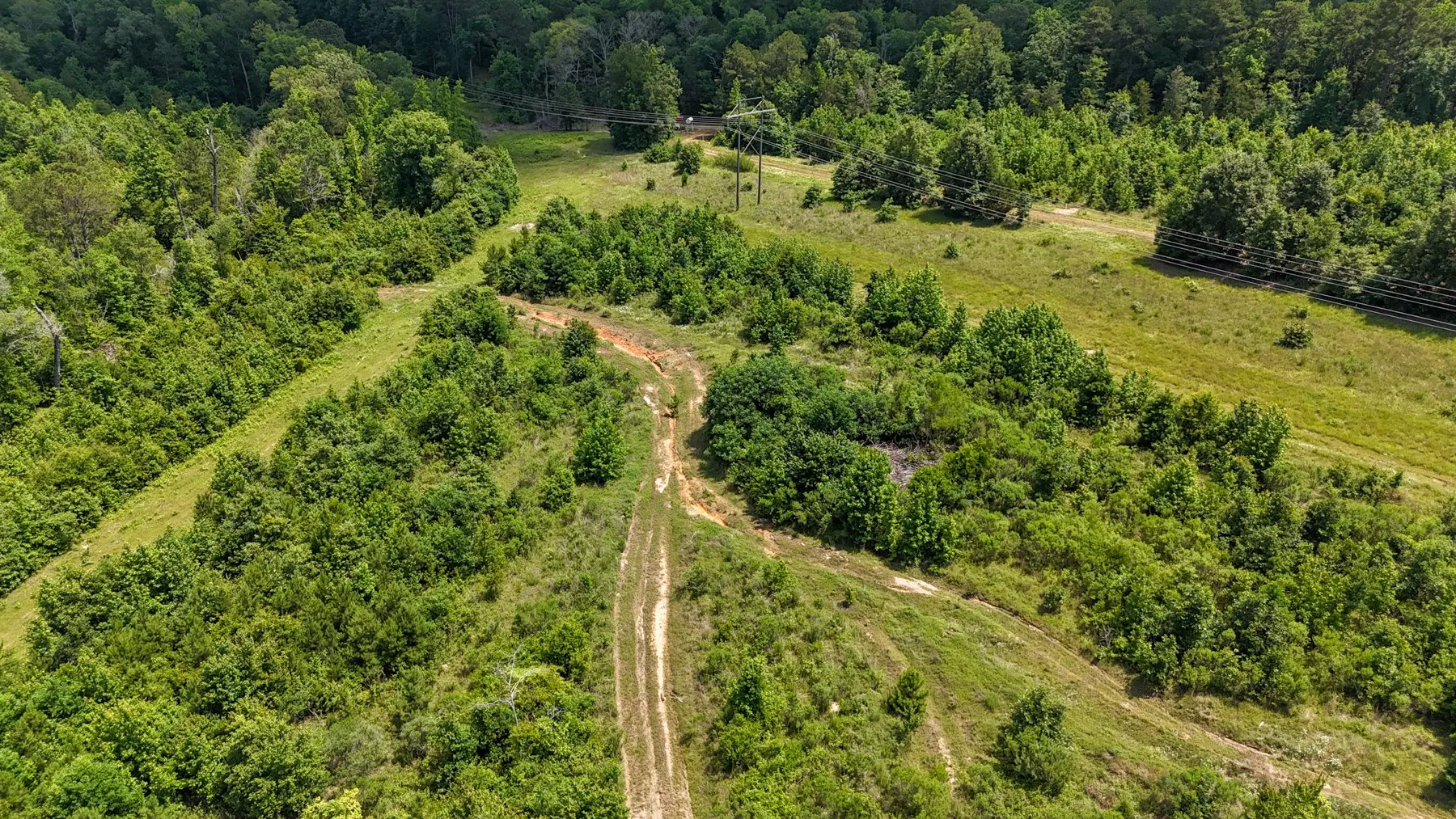 Unimproved Land For Sale in Marion County , 000 Avinger Cutoff Road, Avinger, Texas 75630, 0, 0, Garage spaces, 0 Sqft, built in 0, Price $525,000, mls#21289538, Real Estate Agent in Avinger, Homes For Sale in Marion county, Homes For Sale in Avinger, Realtor in Avinger Texas, Real Estate Brokerage Independent Realty Texas, Luminita Cordes Realtor
