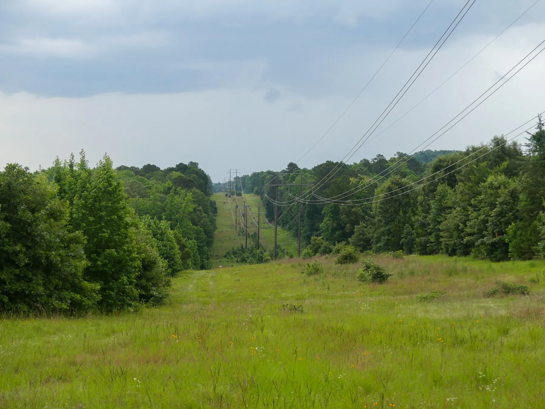 Unimproved Land For Sale in Marion County , 000 Avinger Cutoff Road, Avinger, Texas 75630, 0, 0, Garage spaces, 0 Sqft, built in 0, Price $525,000, mls#21289538, Real Estate Agent in Avinger, Homes For Sale in Marion county, Homes For Sale in Avinger, Realtor in Avinger Texas, Real Estate Brokerage Independent Realty Texas, Luminita Cordes Realtor