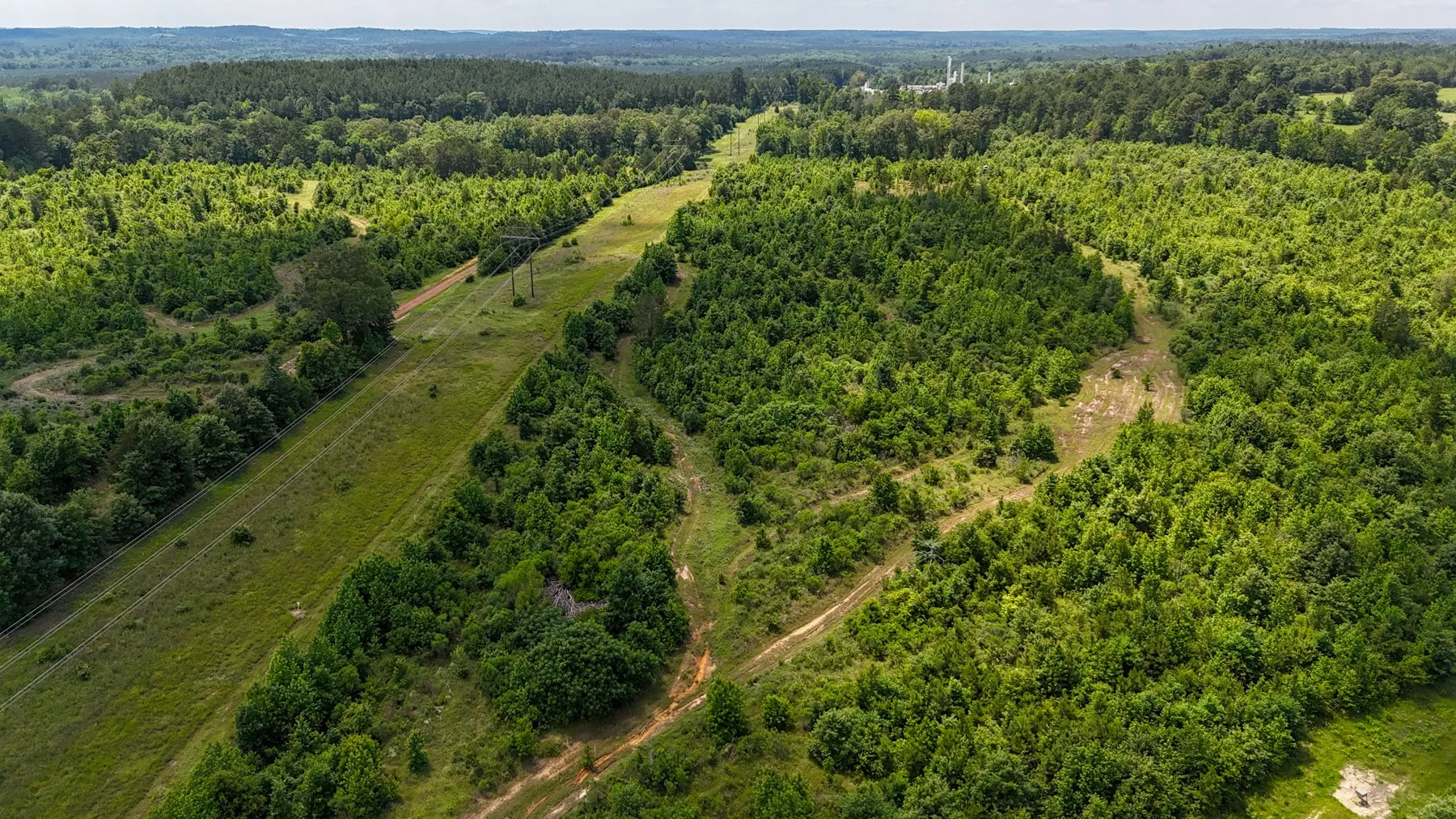 Unimproved Land For Sale in Marion County , 000 Avinger Cutoff Road, Avinger, Texas 75630, 0, 0, Garage spaces, 0 Sqft, built in 0, Price $525,000, mls#21289538, Real Estate Agent in Avinger, Homes For Sale in Marion county, Homes For Sale in Avinger, Realtor in Avinger Texas, Real Estate Brokerage Independent Realty Texas, Luminita Cordes Realtor