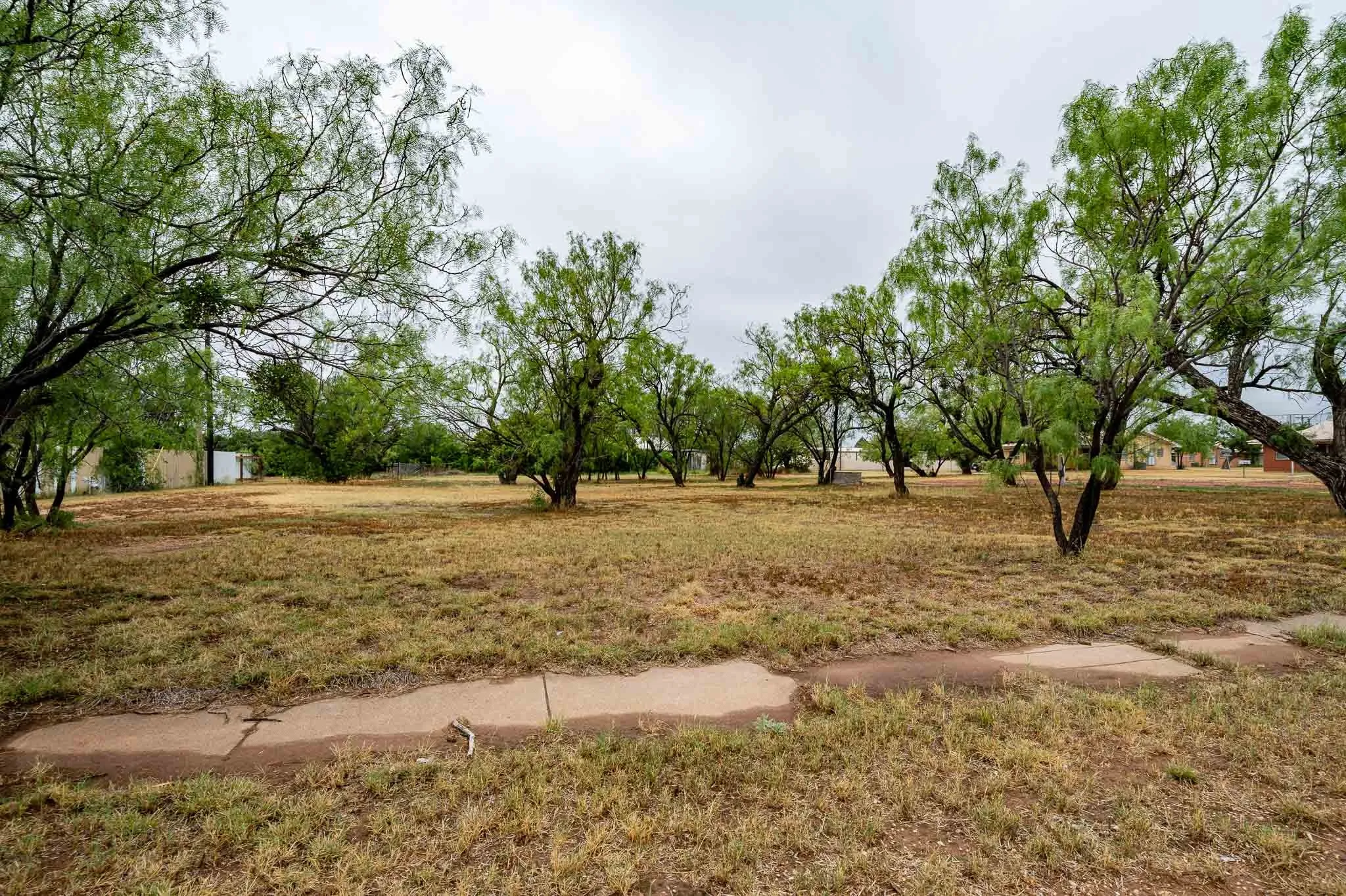 Unimproved Land For Sale in Jones County , TBD Avenue I, Anson, Texas 79501, 0, 0, Garage spaces, 0 Sqft, built in 0, Price $35,000, mls#21289548, Real Estate Agent in Anson, Homes For Sale in Jones county, Homes For Sale in Anson, Realtor in Anson Texas, Real Estate Brokerage Independent Realty Texas, Luminita Cordes Realtor