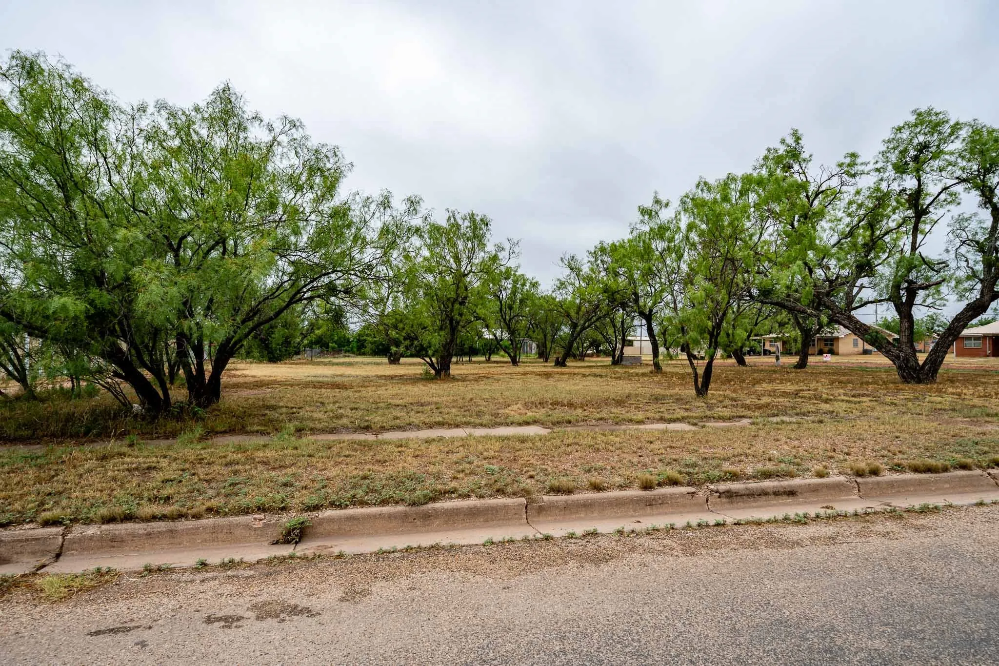 Unimproved Land For Sale in Jones County , TBD Avenue I, Anson, Texas 79501, 0, 0, Garage spaces, 0 Sqft, built in 0, Price $35,000, mls#21289548, Real Estate Agent in Anson, Homes For Sale in Jones county, Homes For Sale in Anson, Realtor in Anson Texas, Real Estate Brokerage Independent Realty Texas, Luminita Cordes Realtor